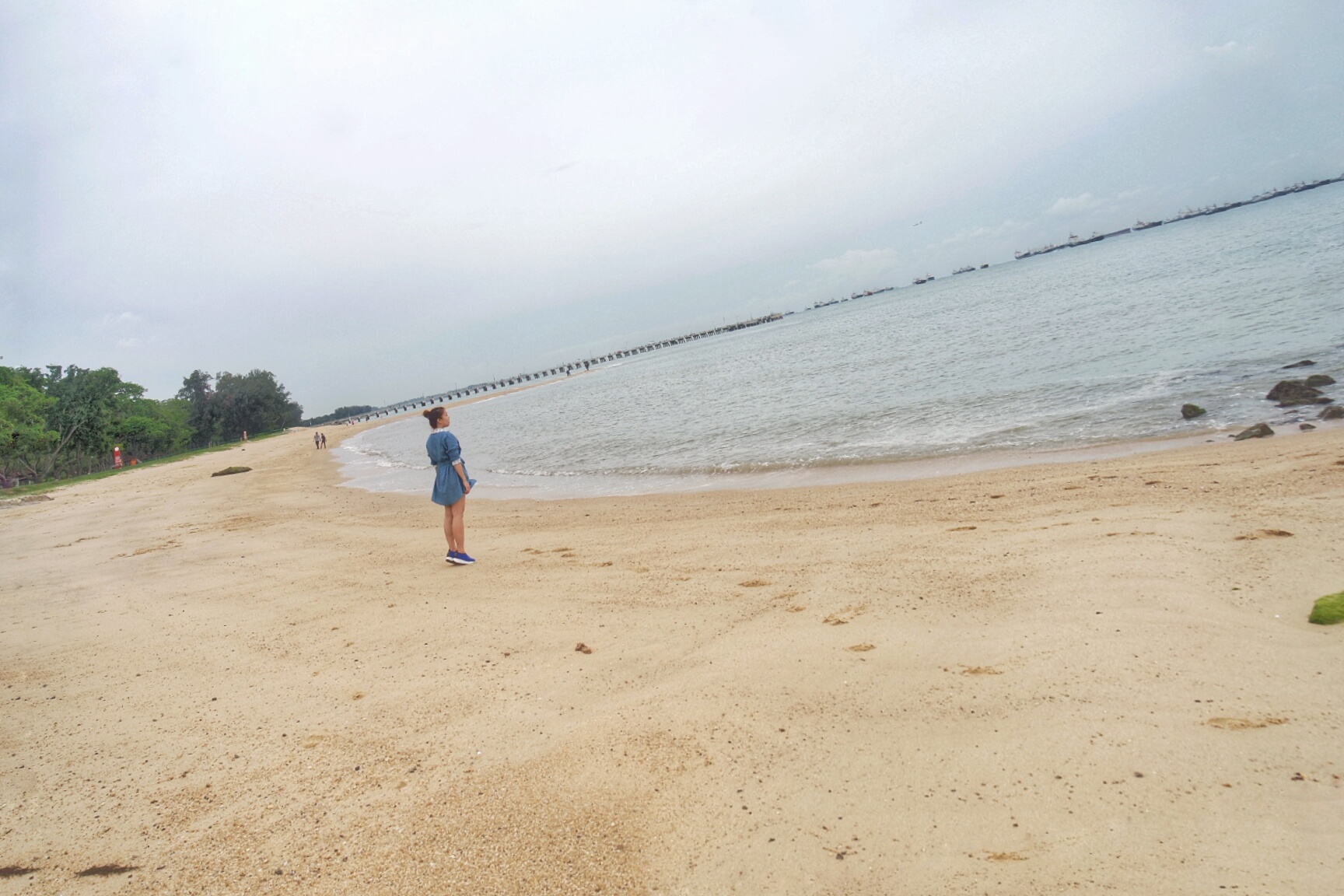 SAMSUNG CAMERA PICTURES