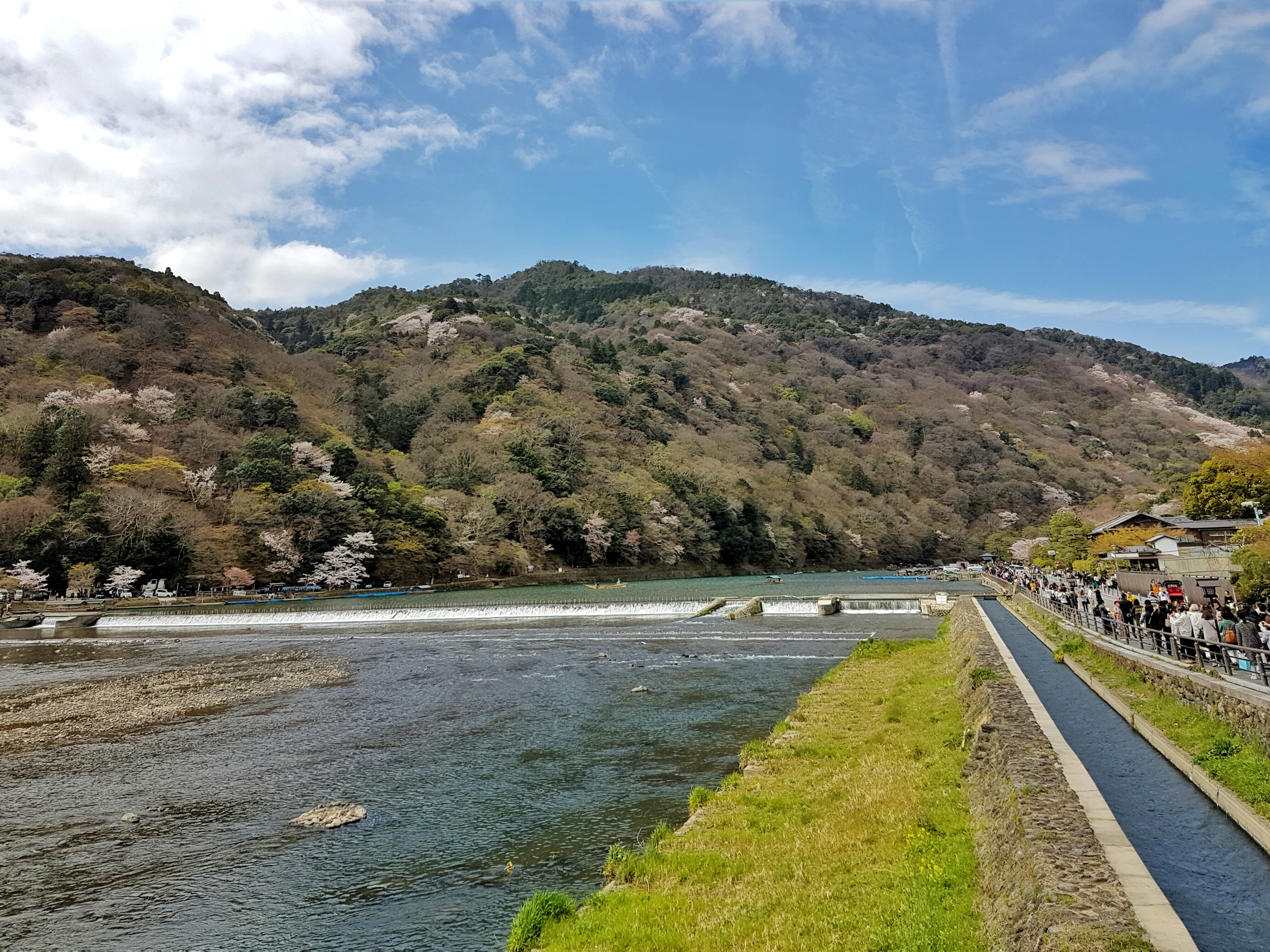 20160402_113612-01-01[1]