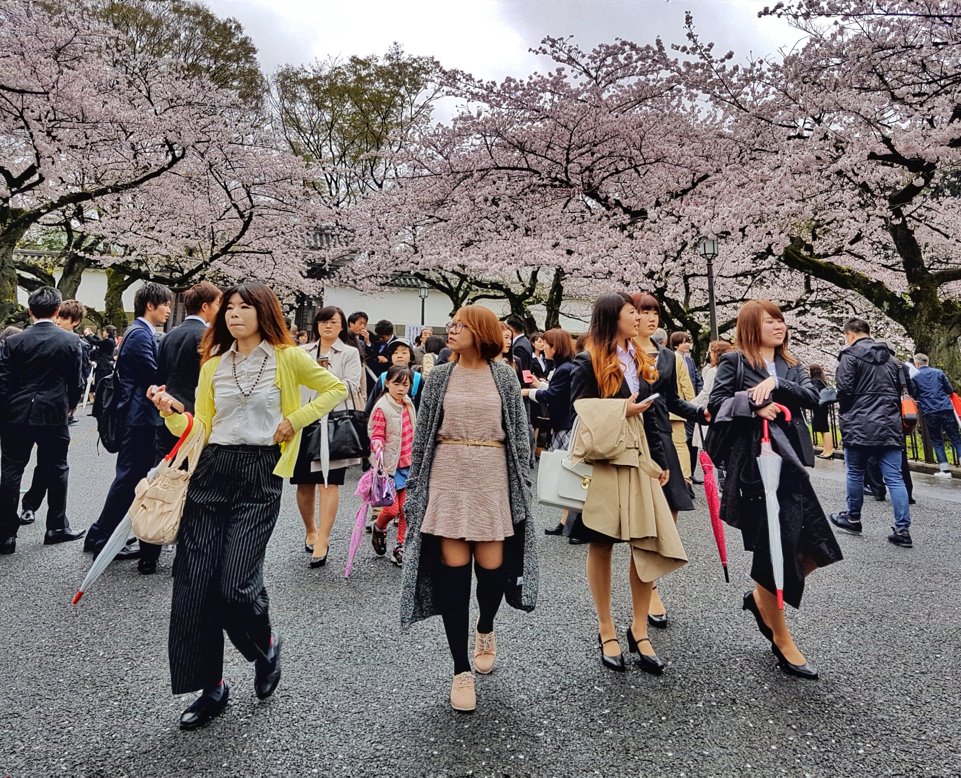 20160404_113154-01-01[1]