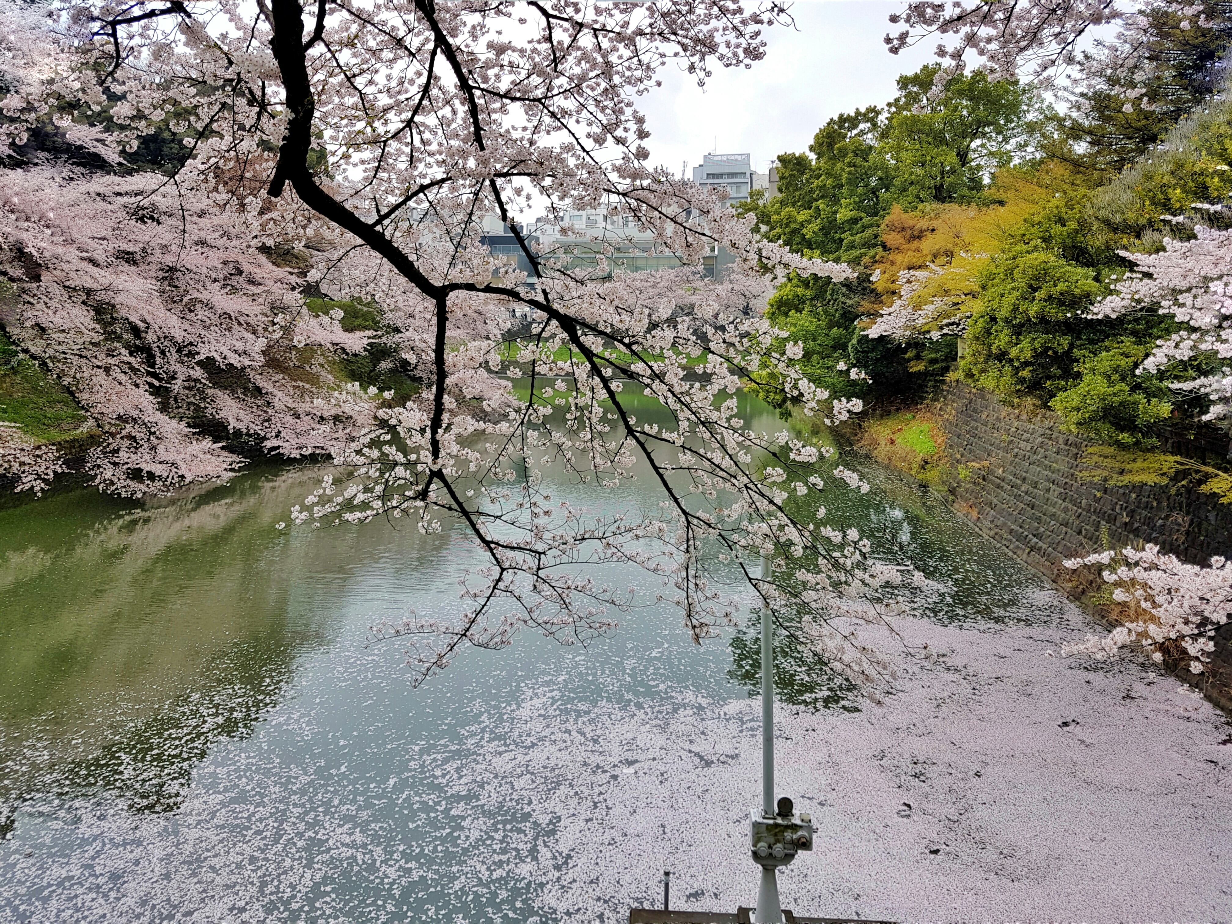 20160404_113312-02-01[1]