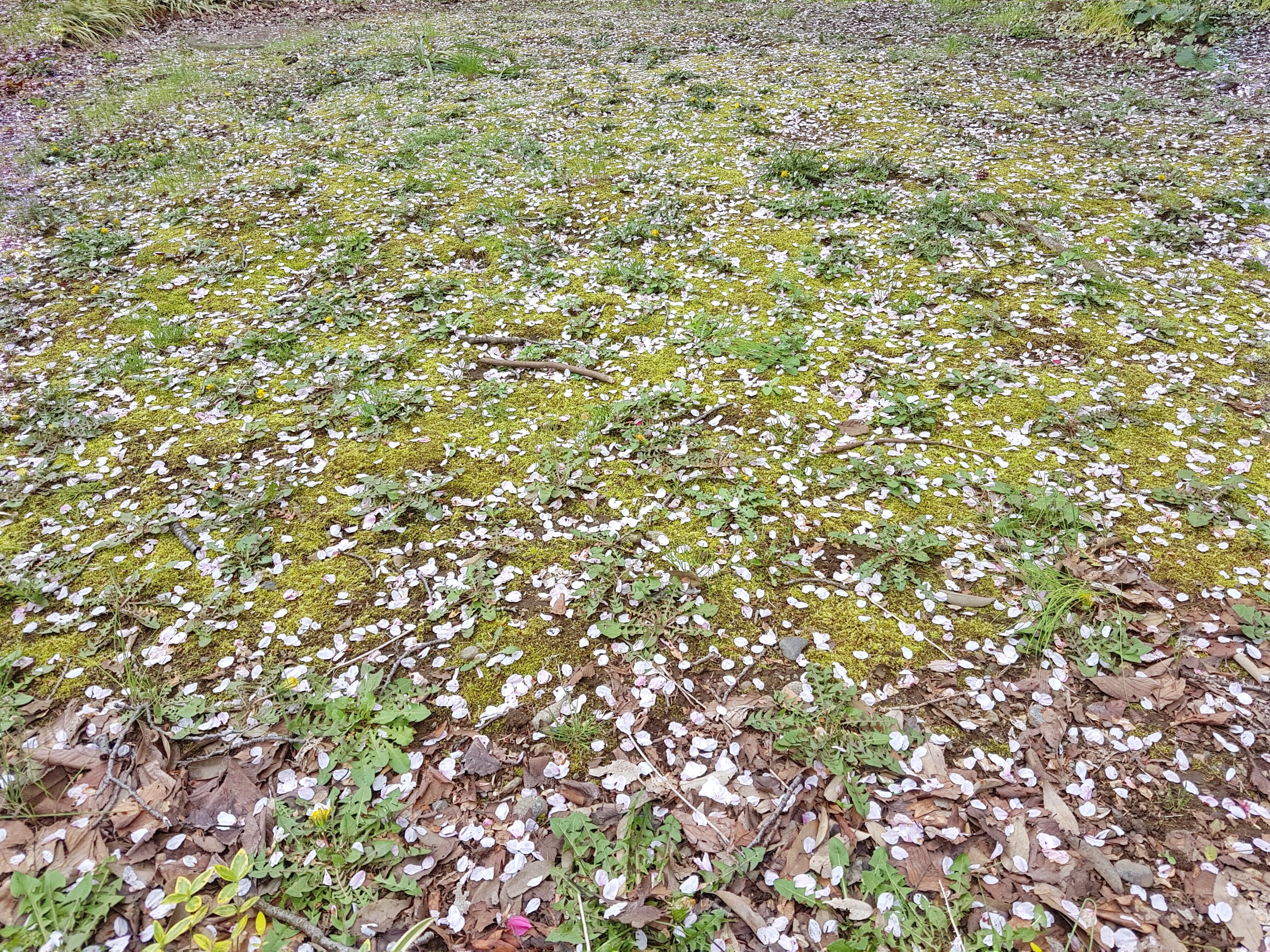 20160405_150427-01-01[1]
