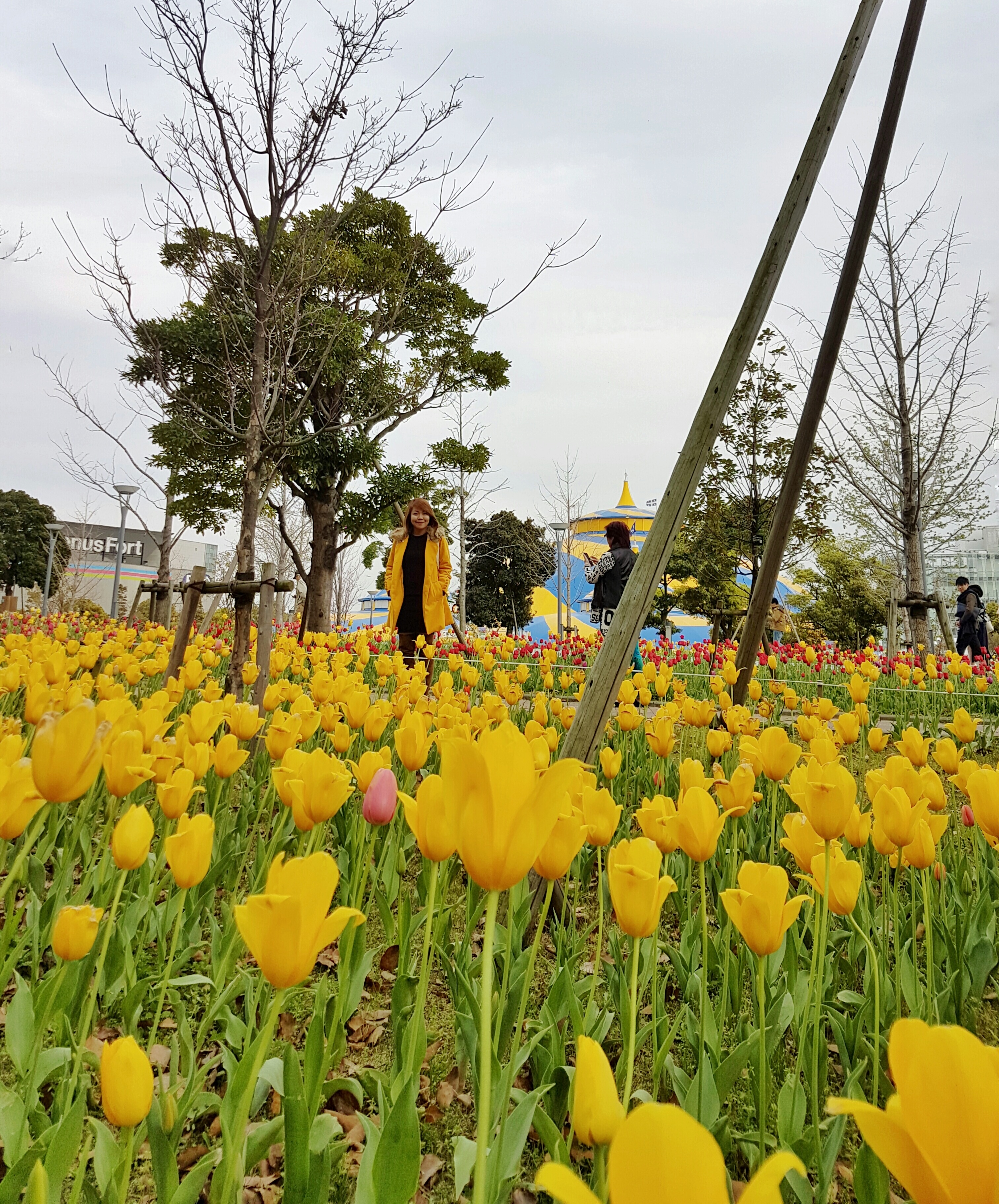 20160406_161531-01-01[1]