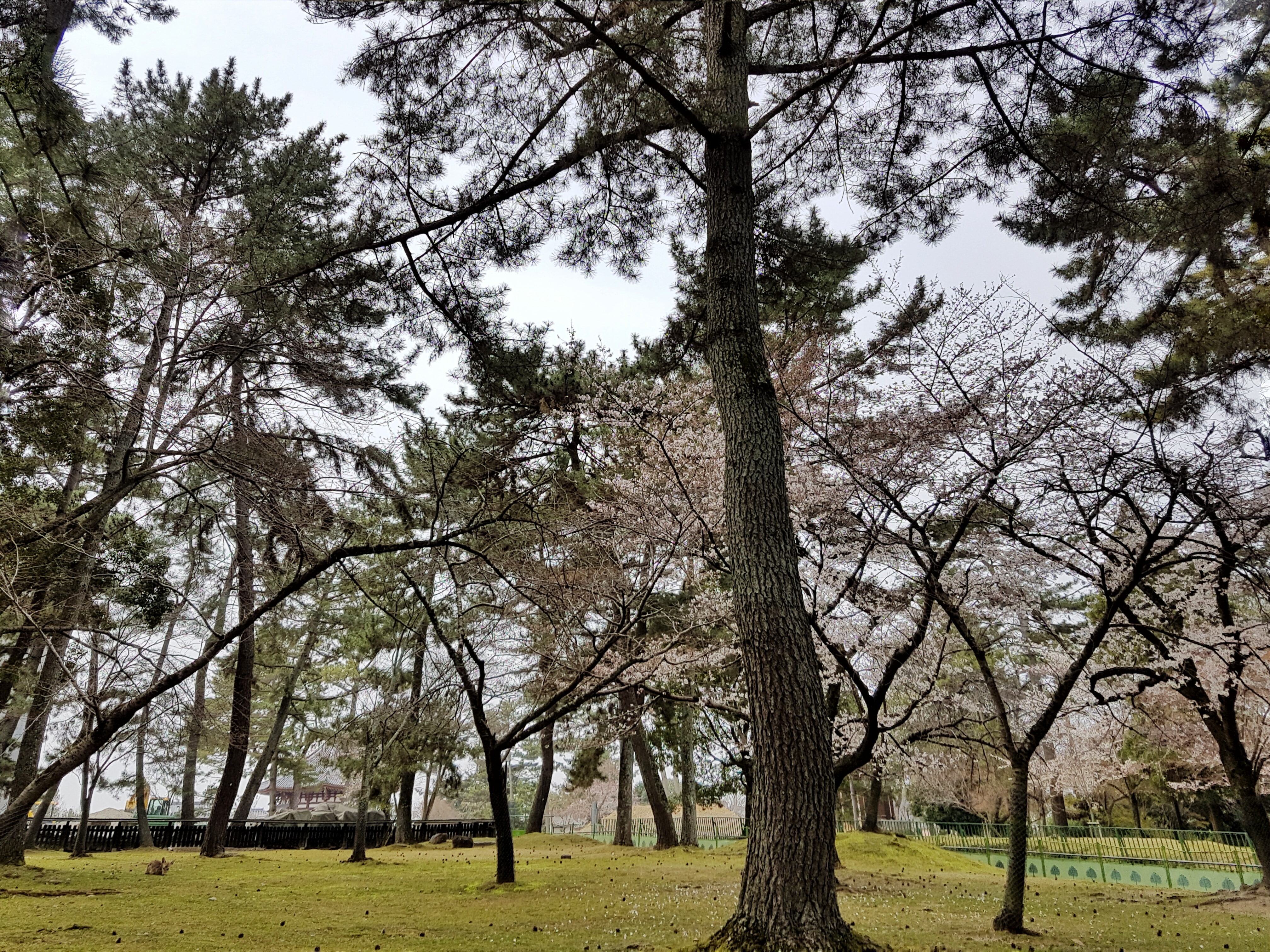 20160330_094904-01[1]