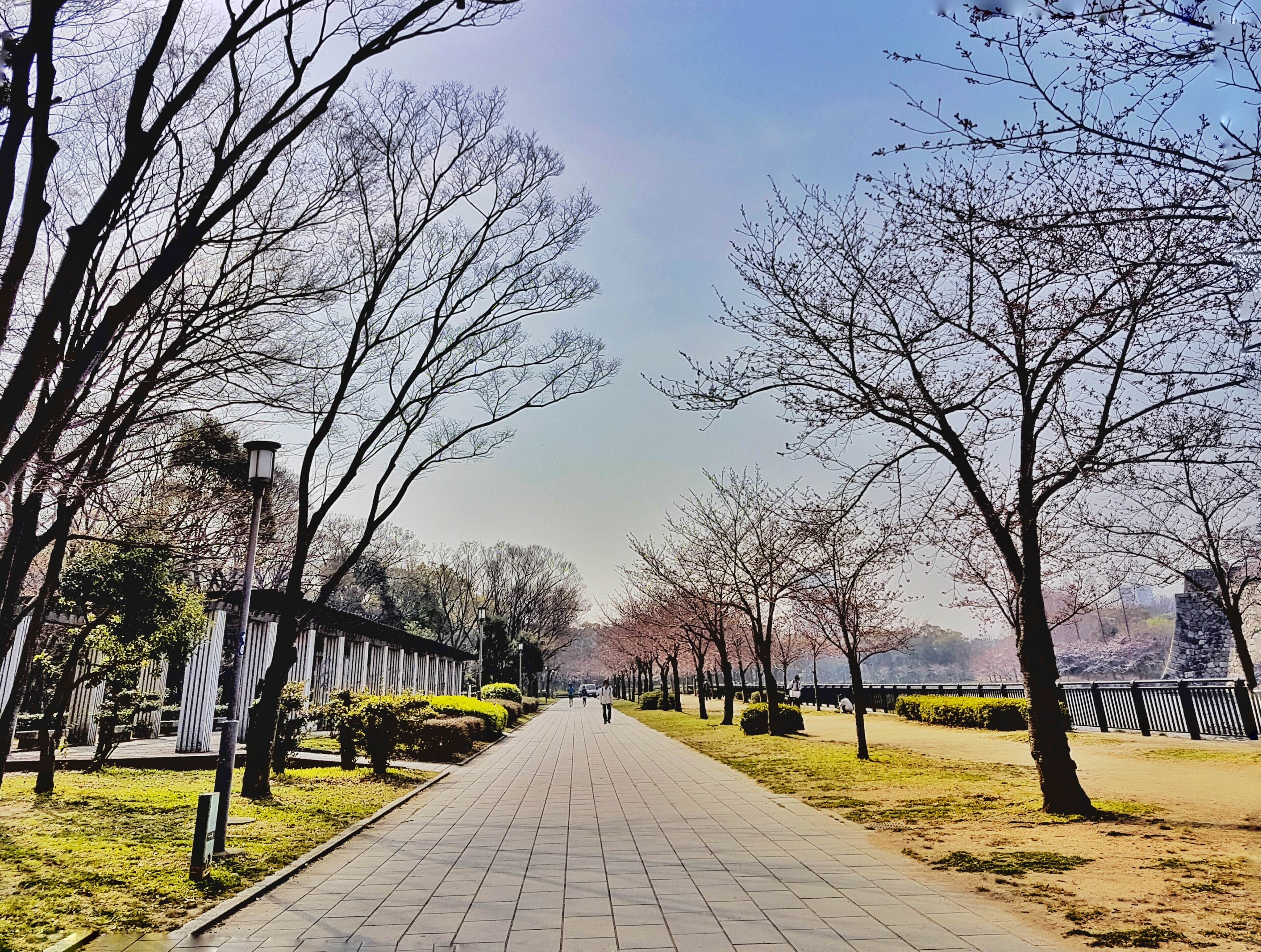 20160331_092730-01-01[1]