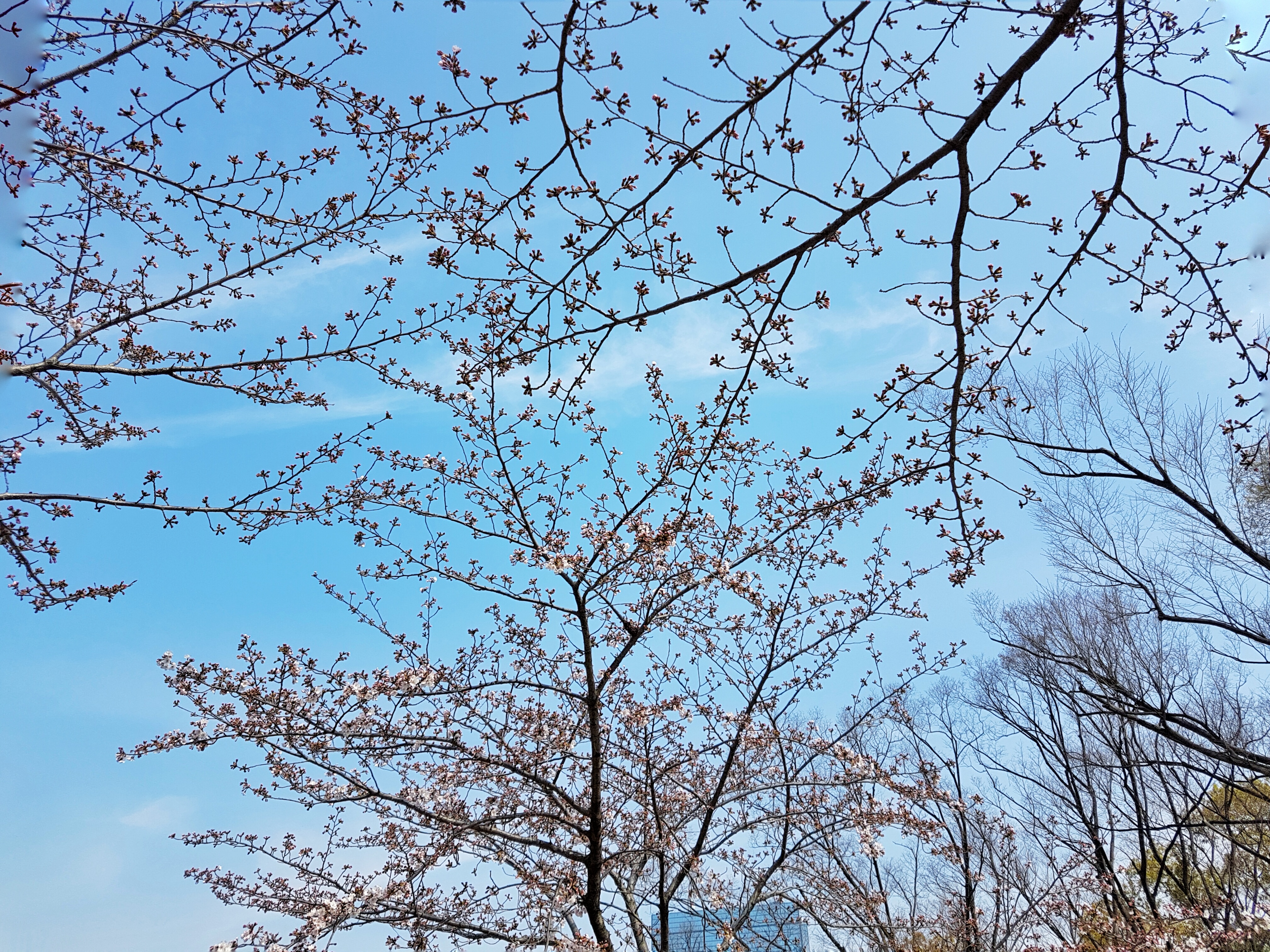 20160331_092938-01[1]