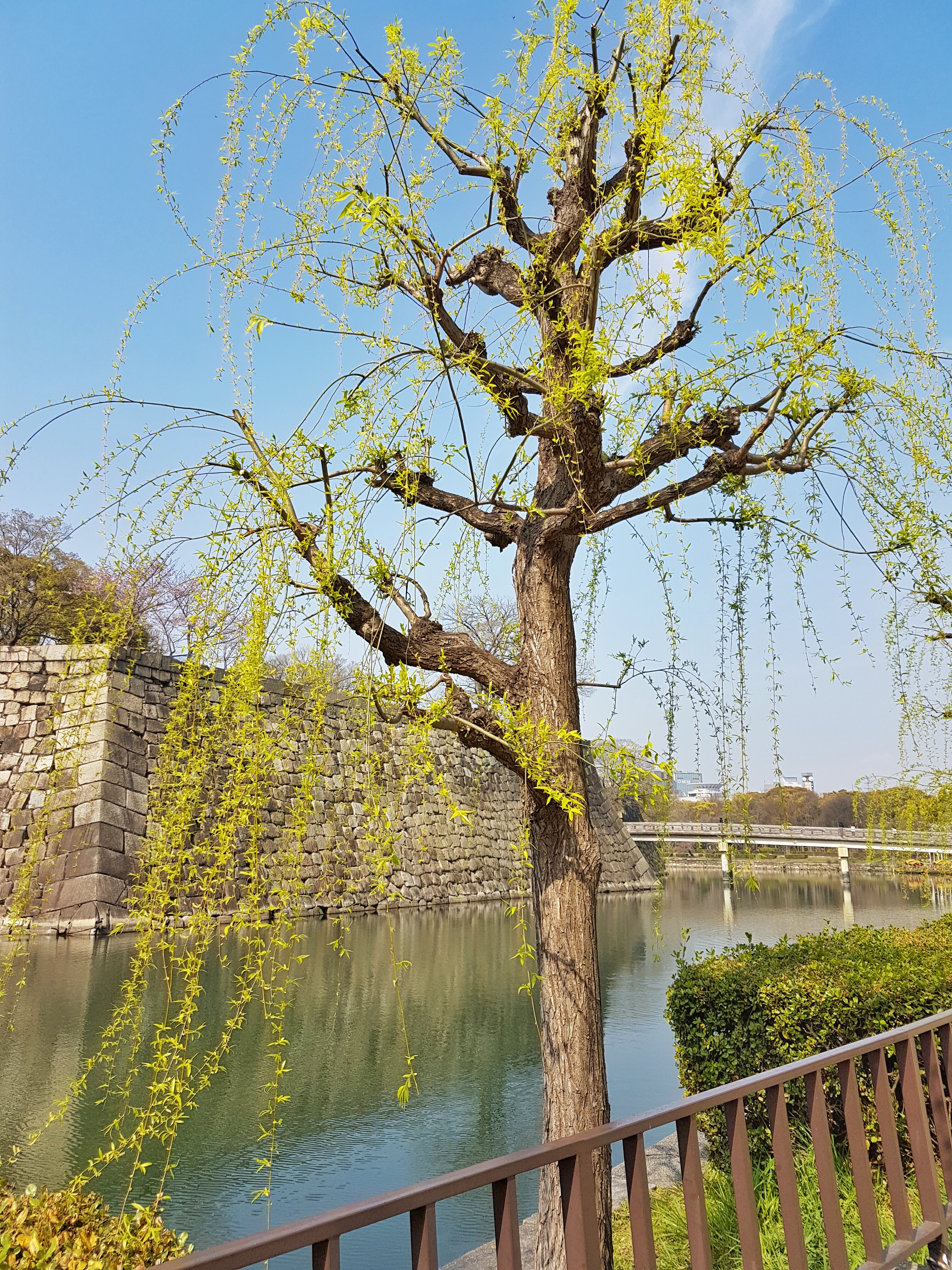 20160331_093919-01[1]