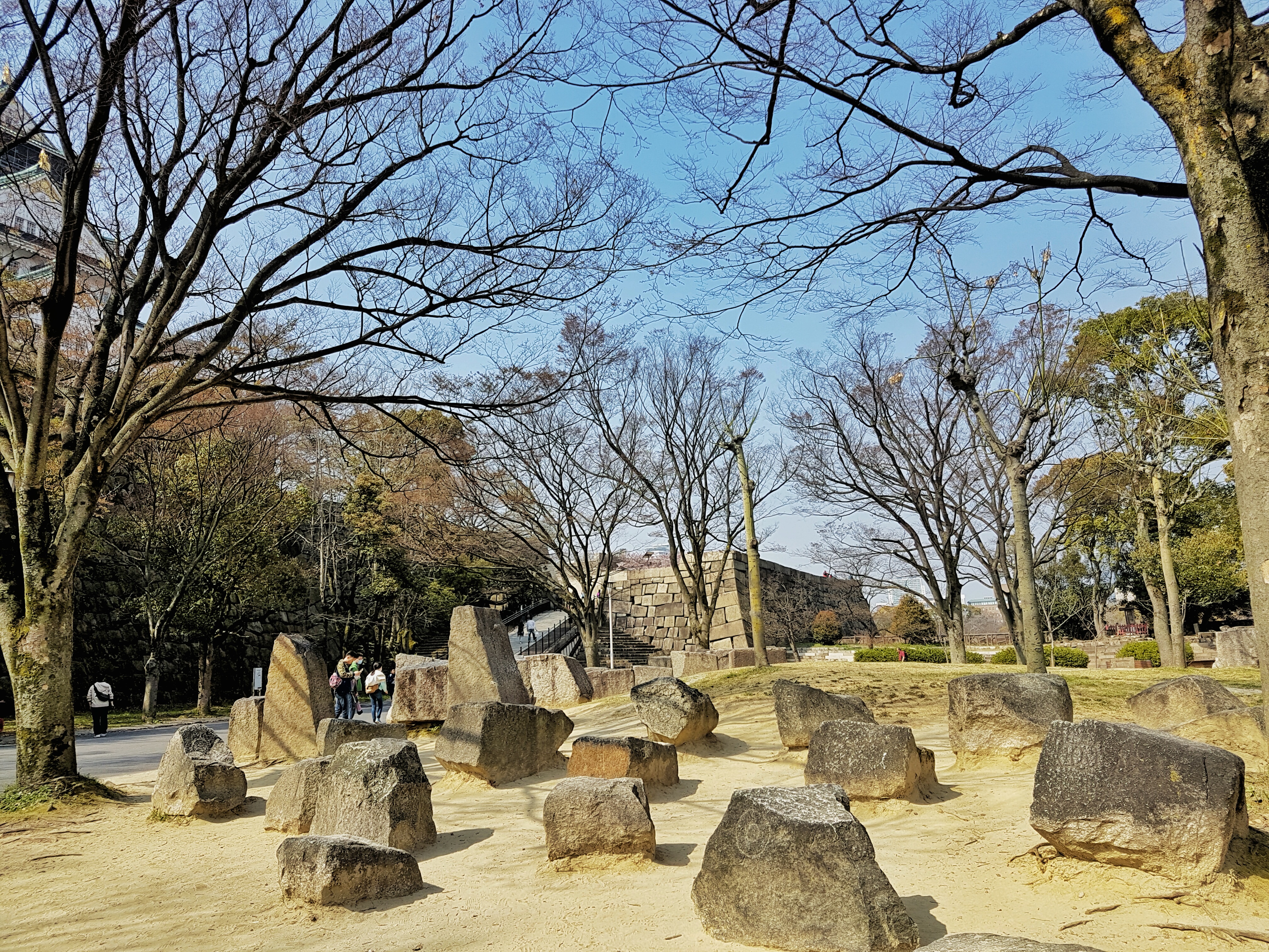 20160331_095100-01[1]