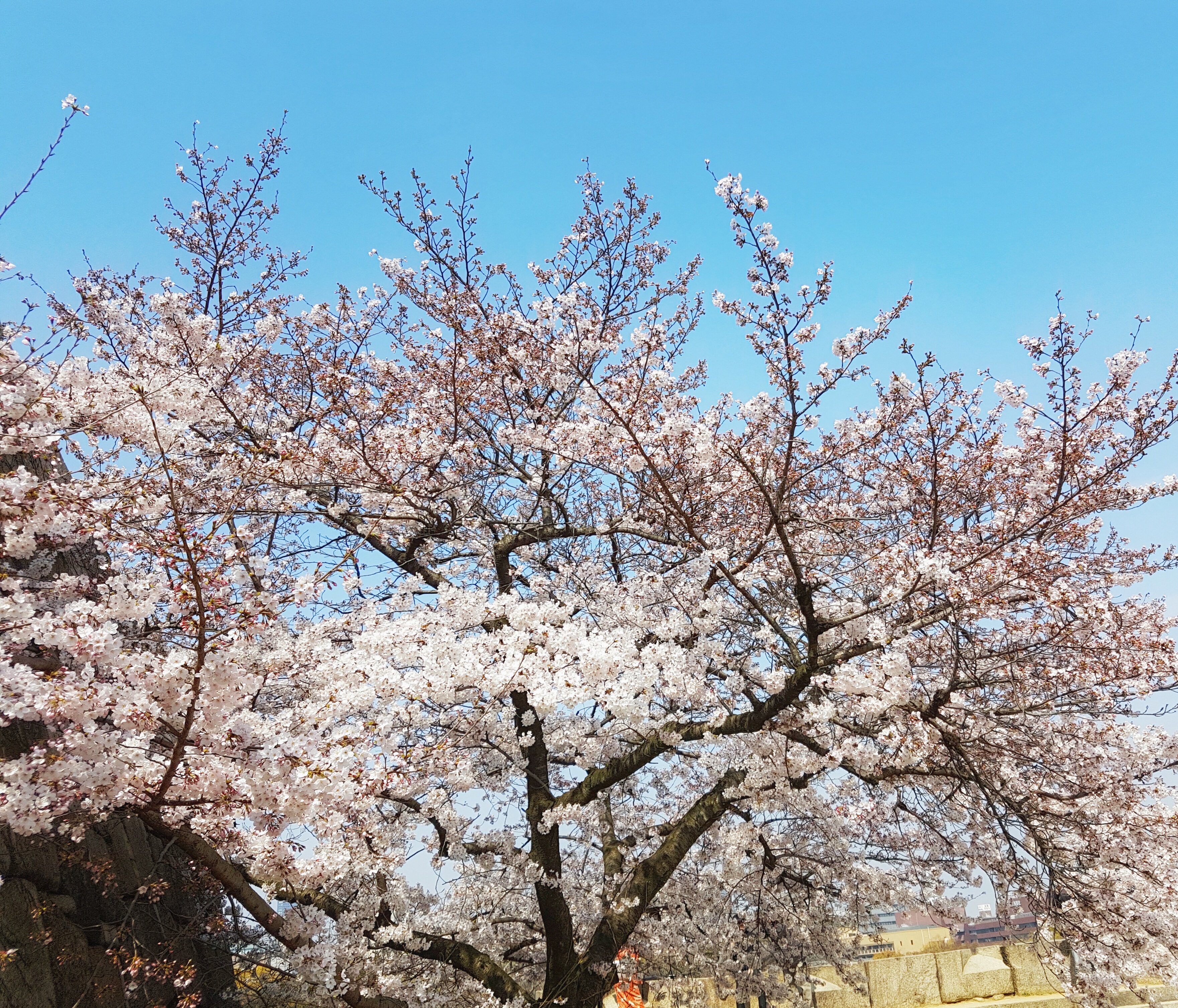 20160331_095754-01[1]