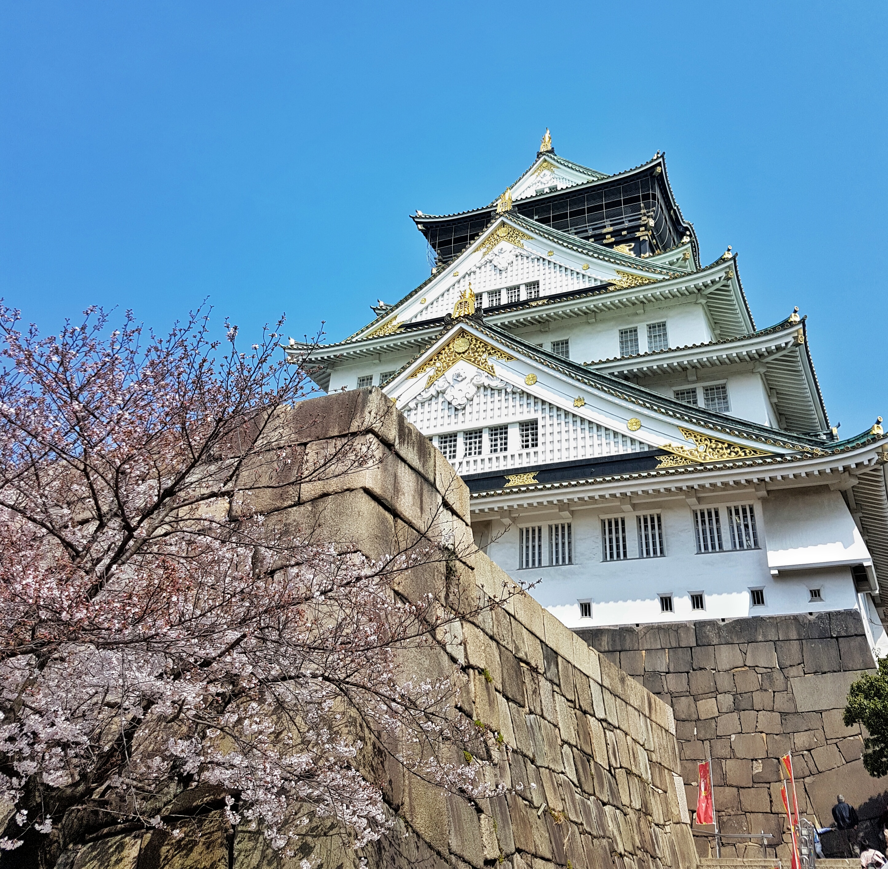 20160331_100255-01[1]