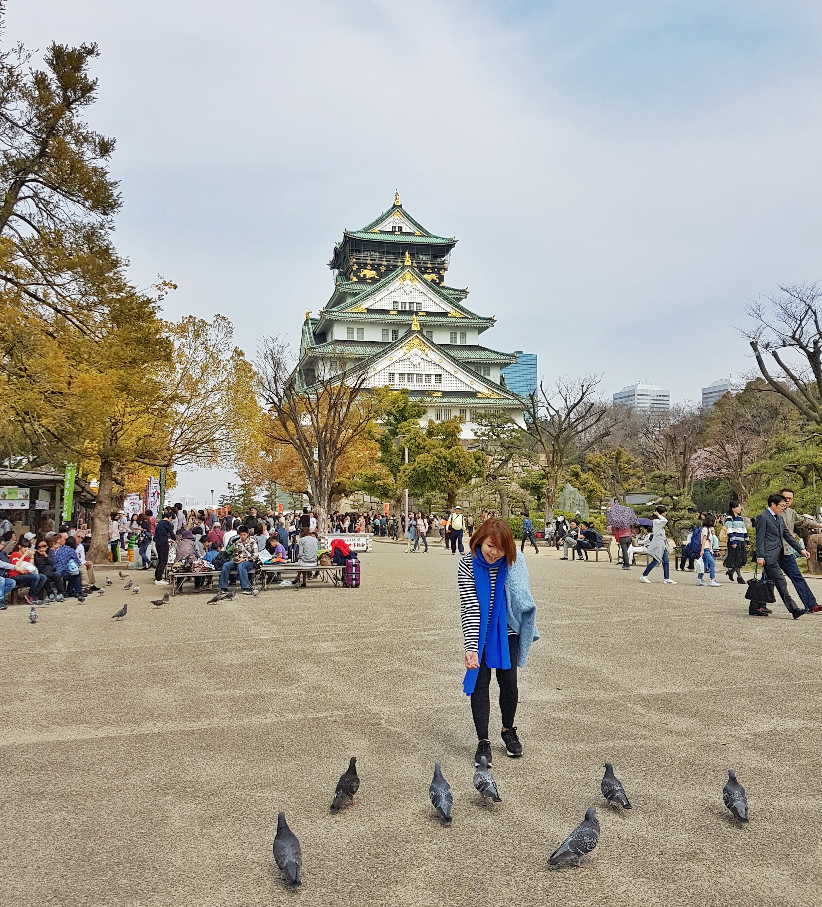 20160331_113501-01[1]