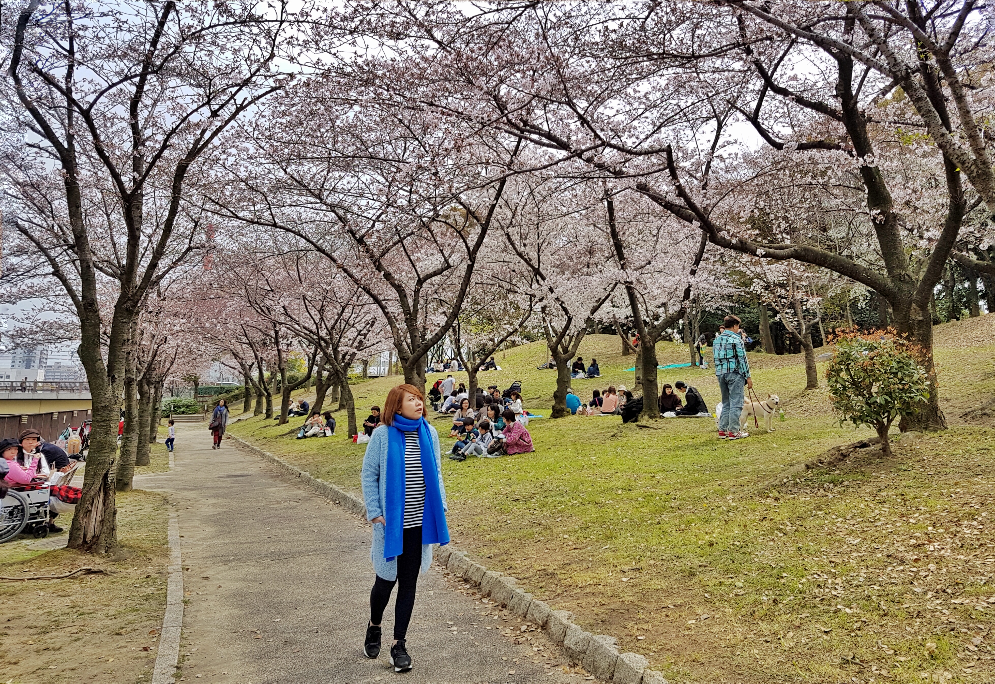 20160331_121730-01[1]