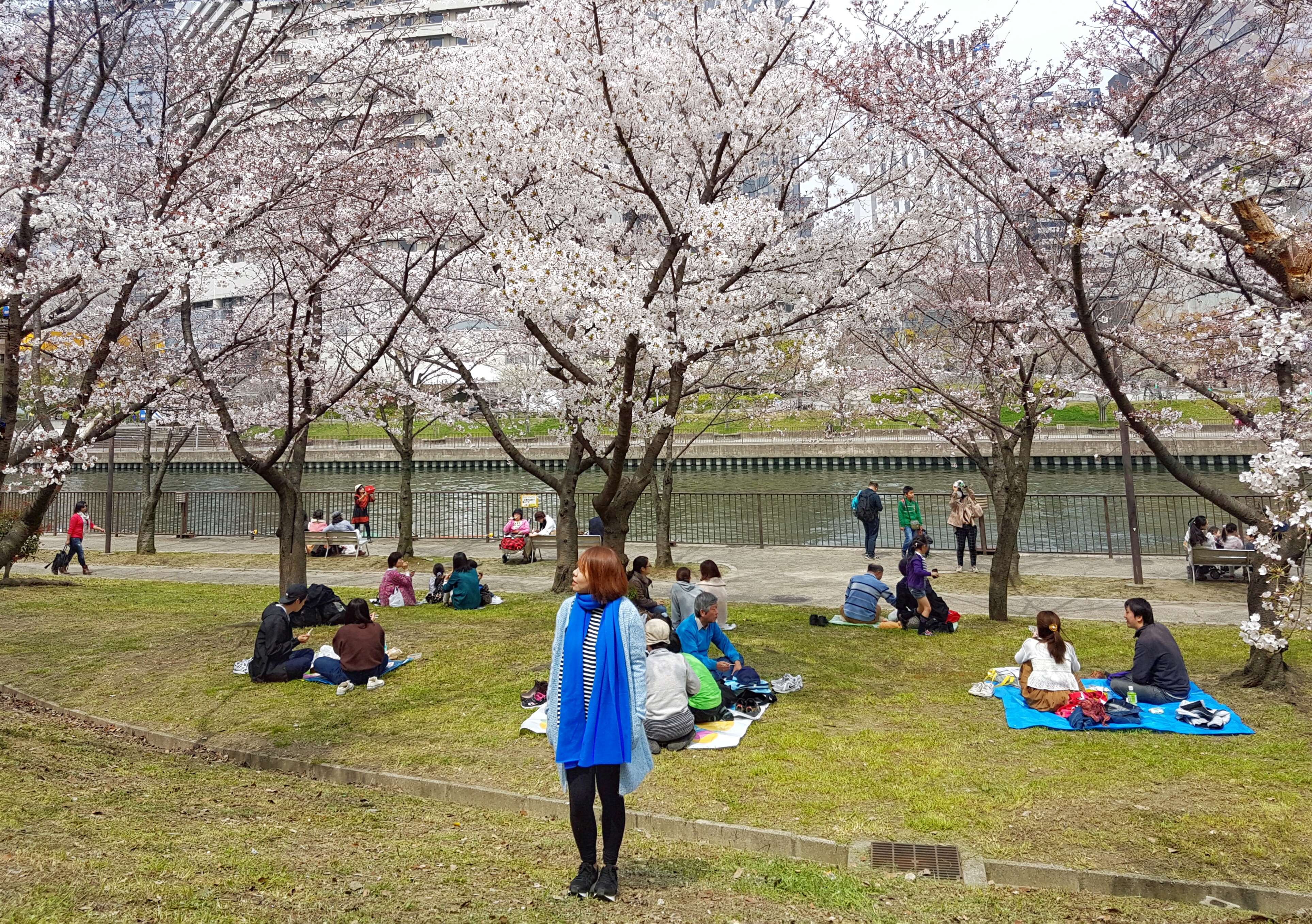 20160331_122121-01[1]