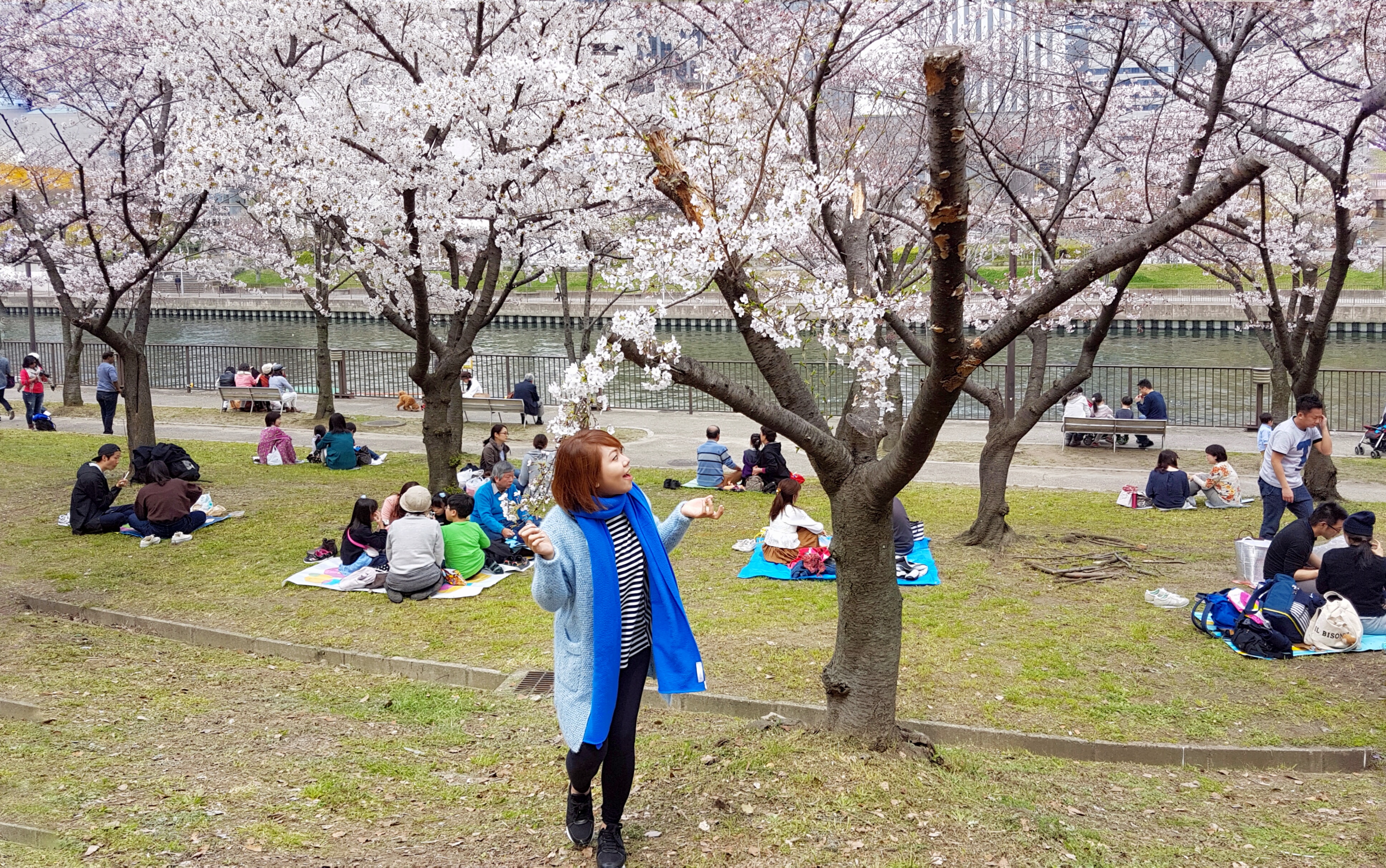 20160331_122319-01[1]