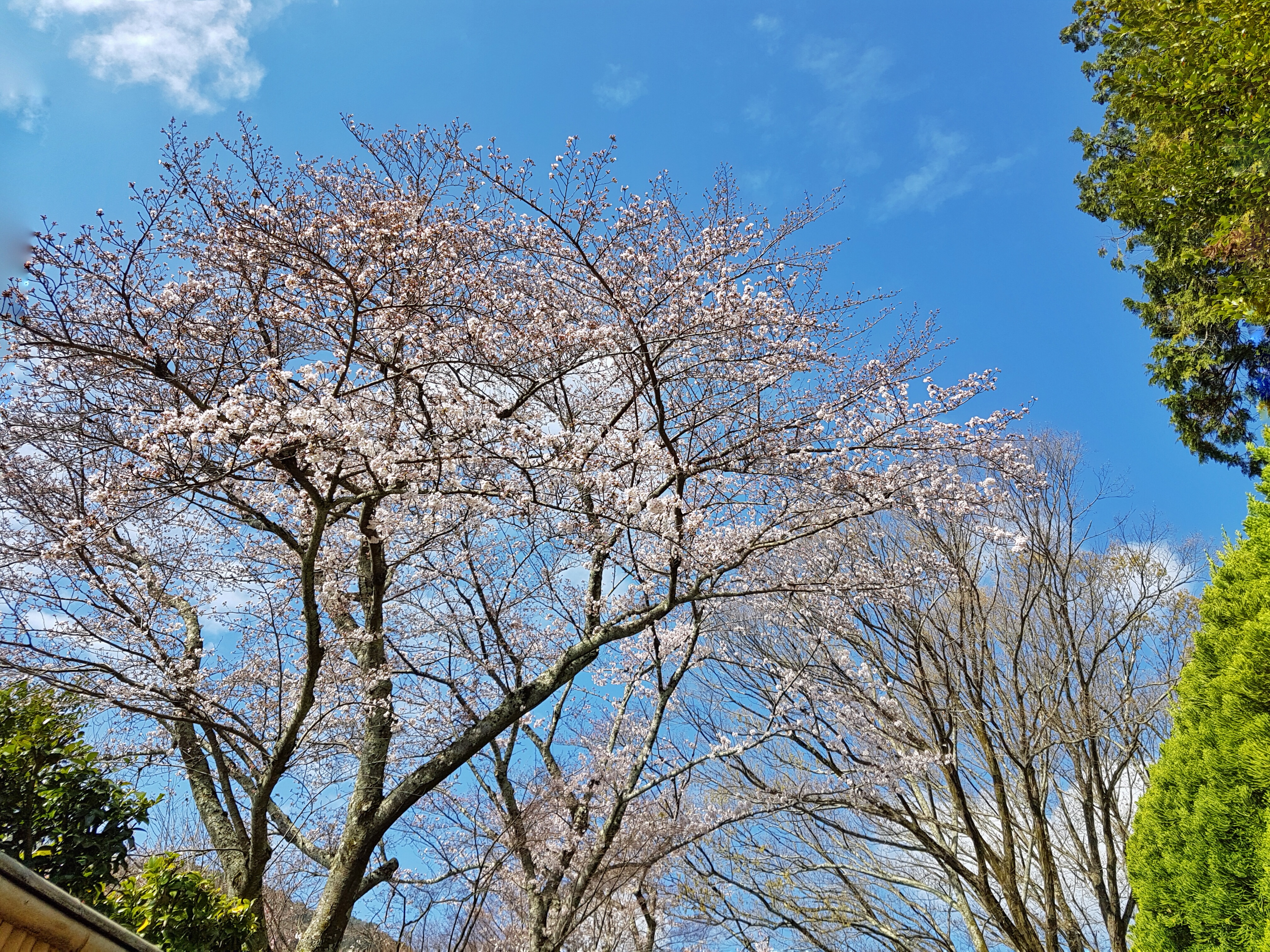 20160402_090442-01[1]