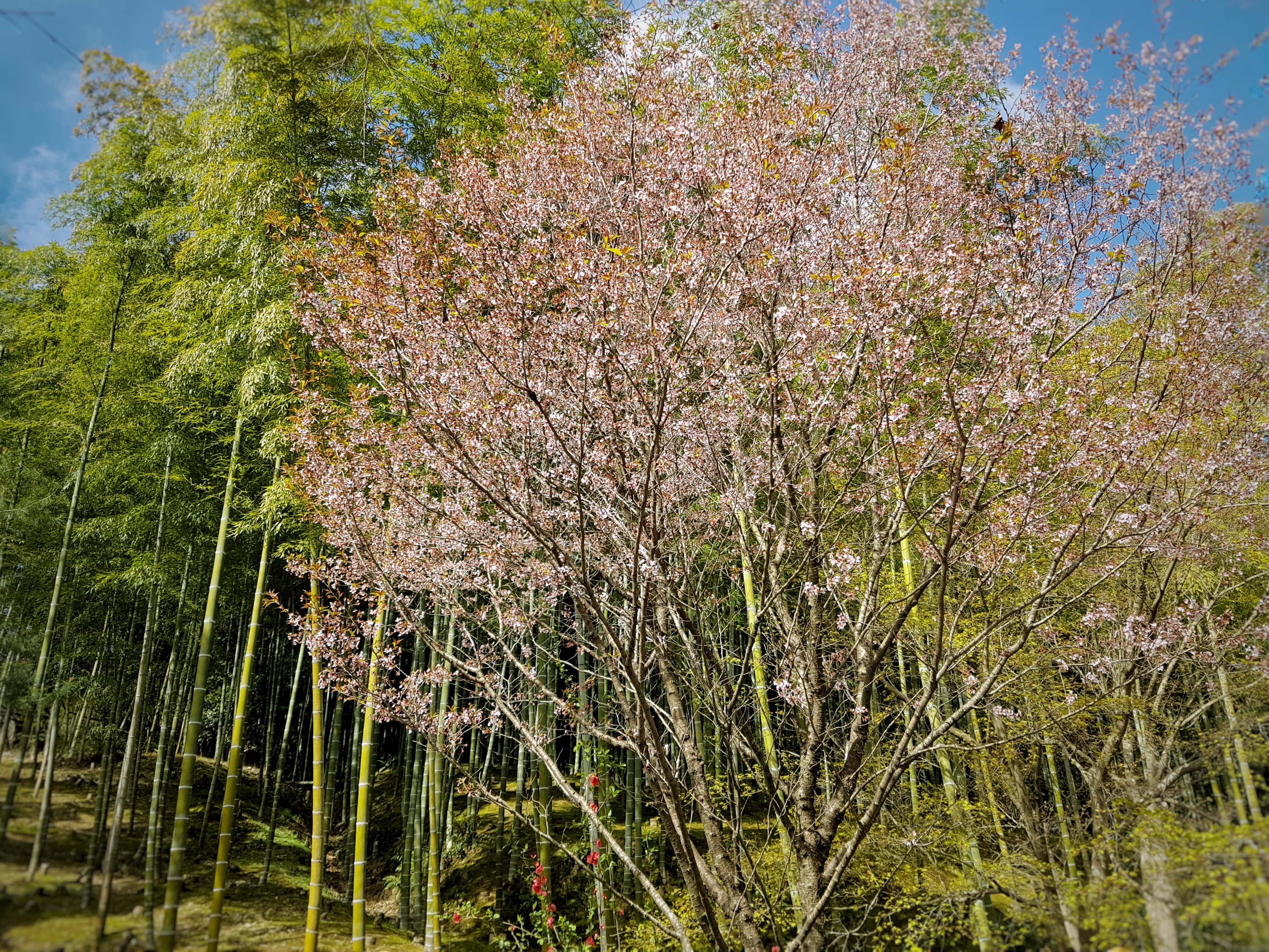 20160402_091314-01[1]