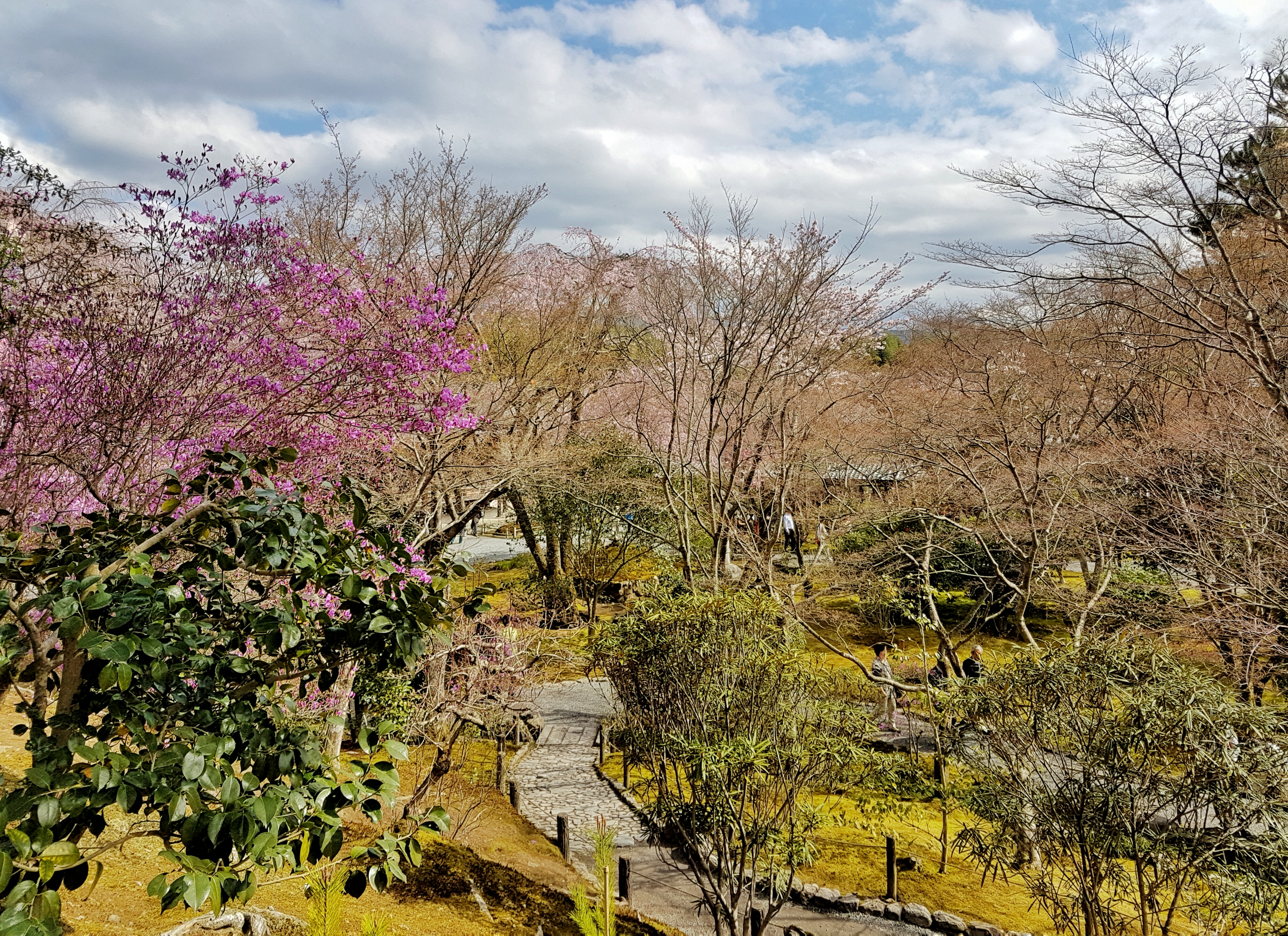 20160402_092054-01[1]