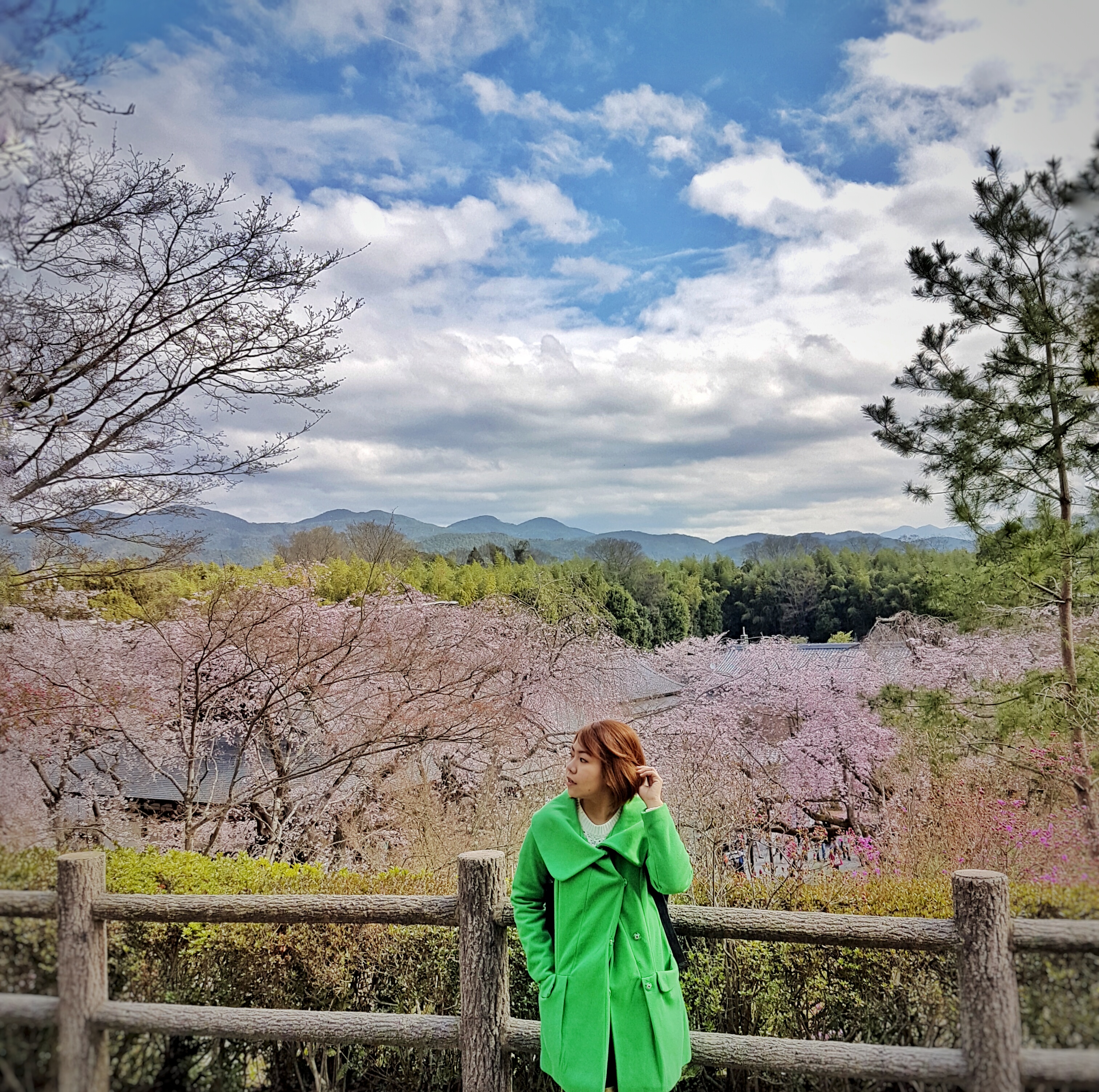 20160402_092244-01[1]