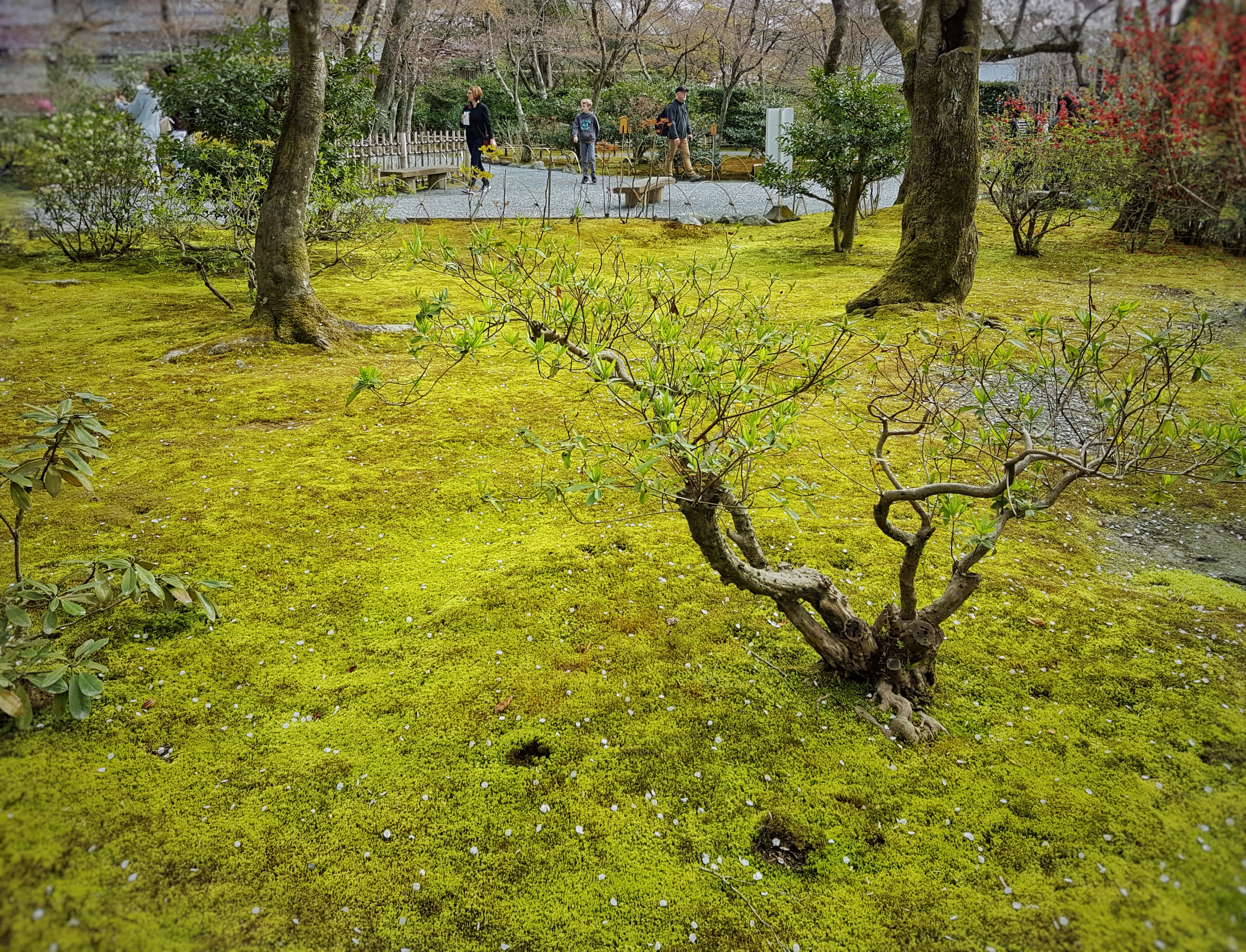 20160402_092934-01[1]
