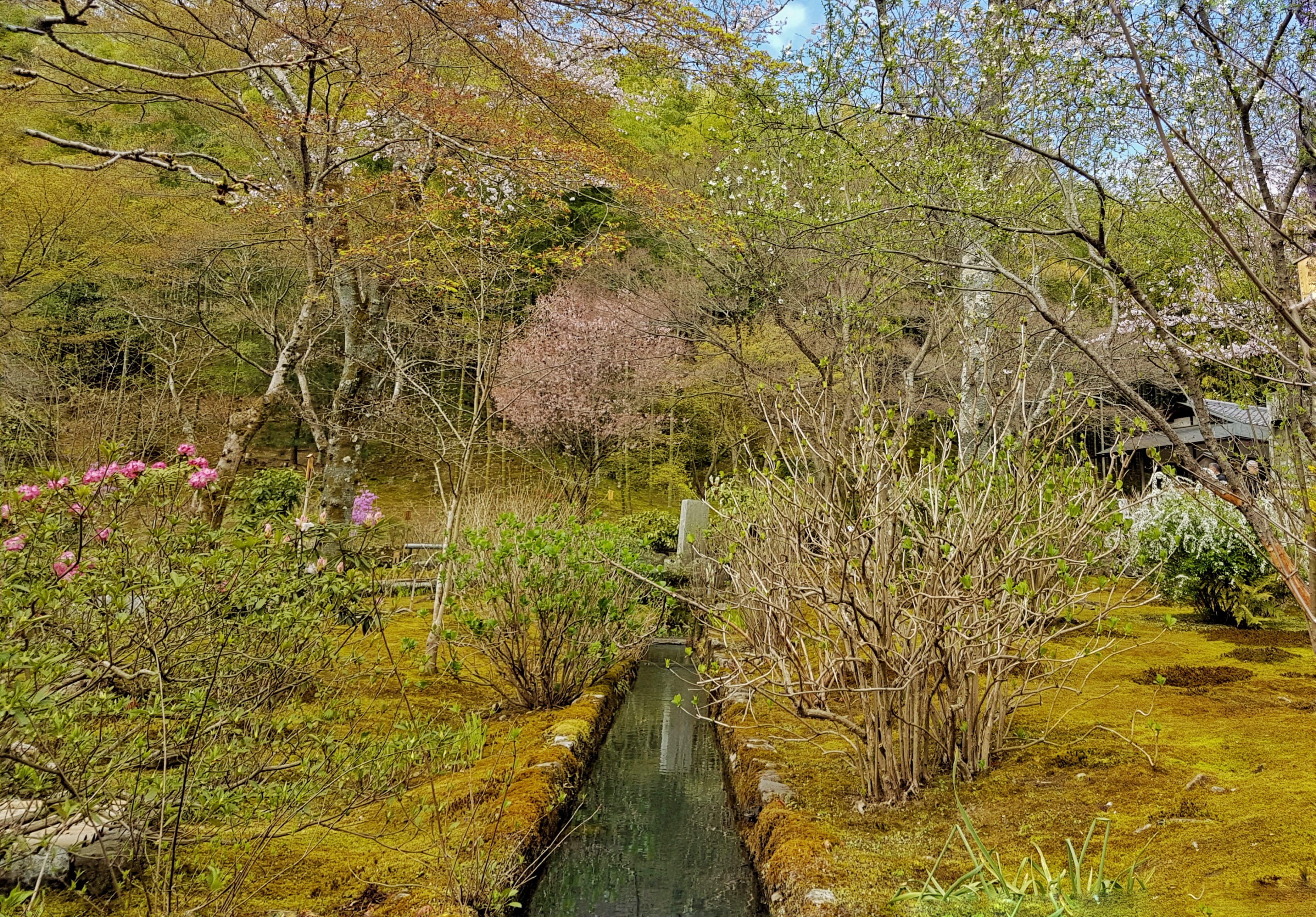 20160402_093148-01[1]