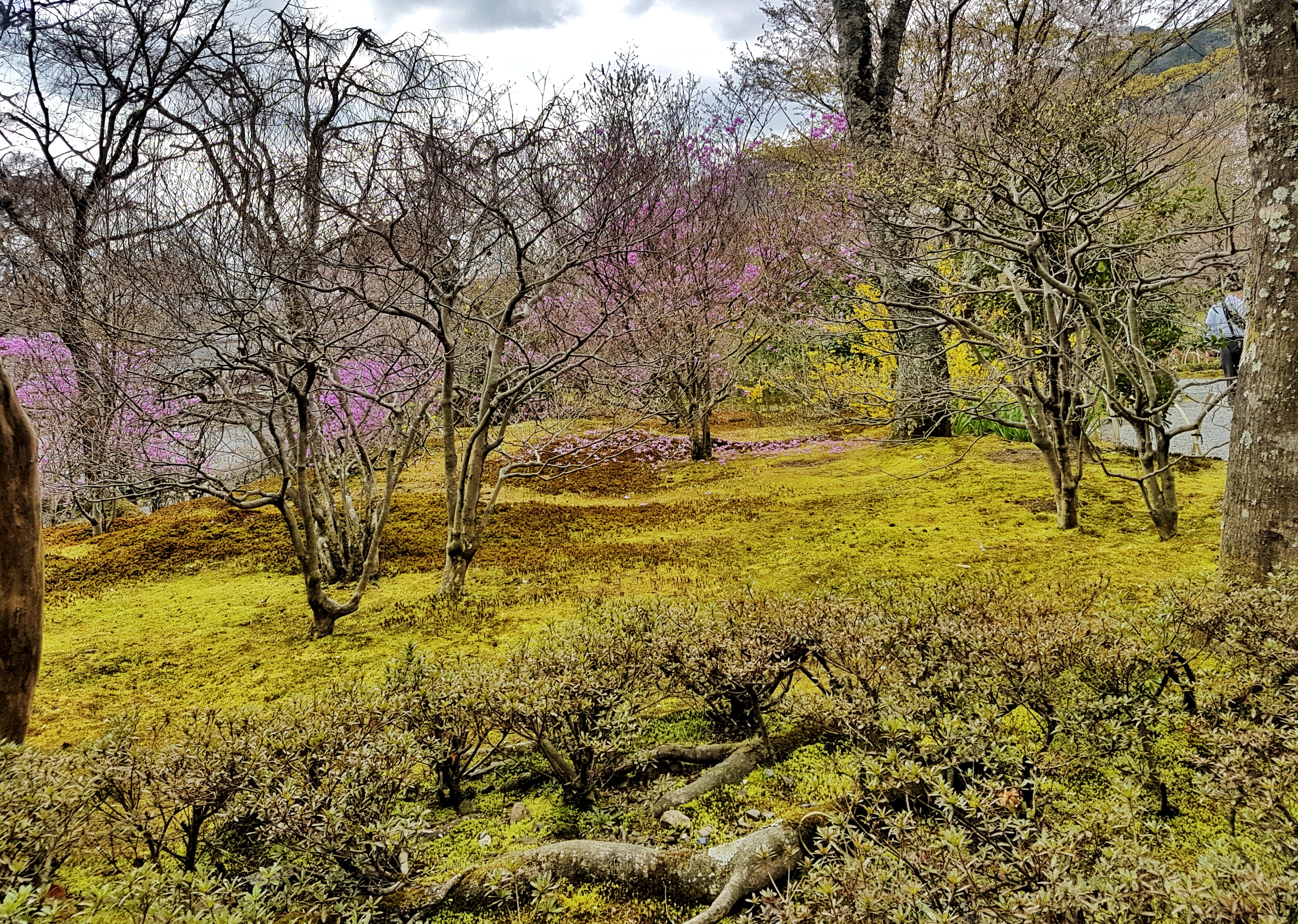 20160402_093424-01[1]