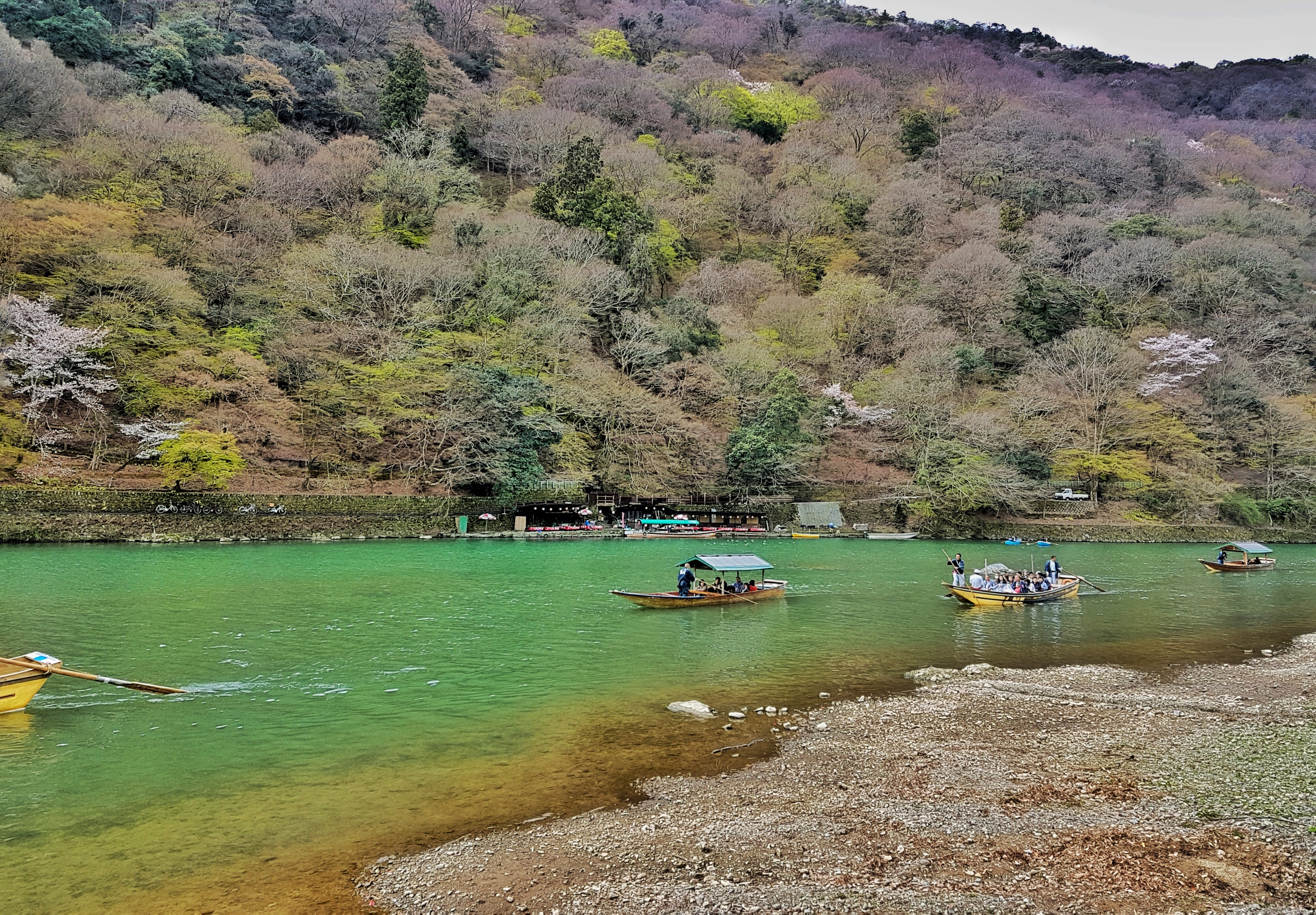 20160402_103032-01-01[1]
