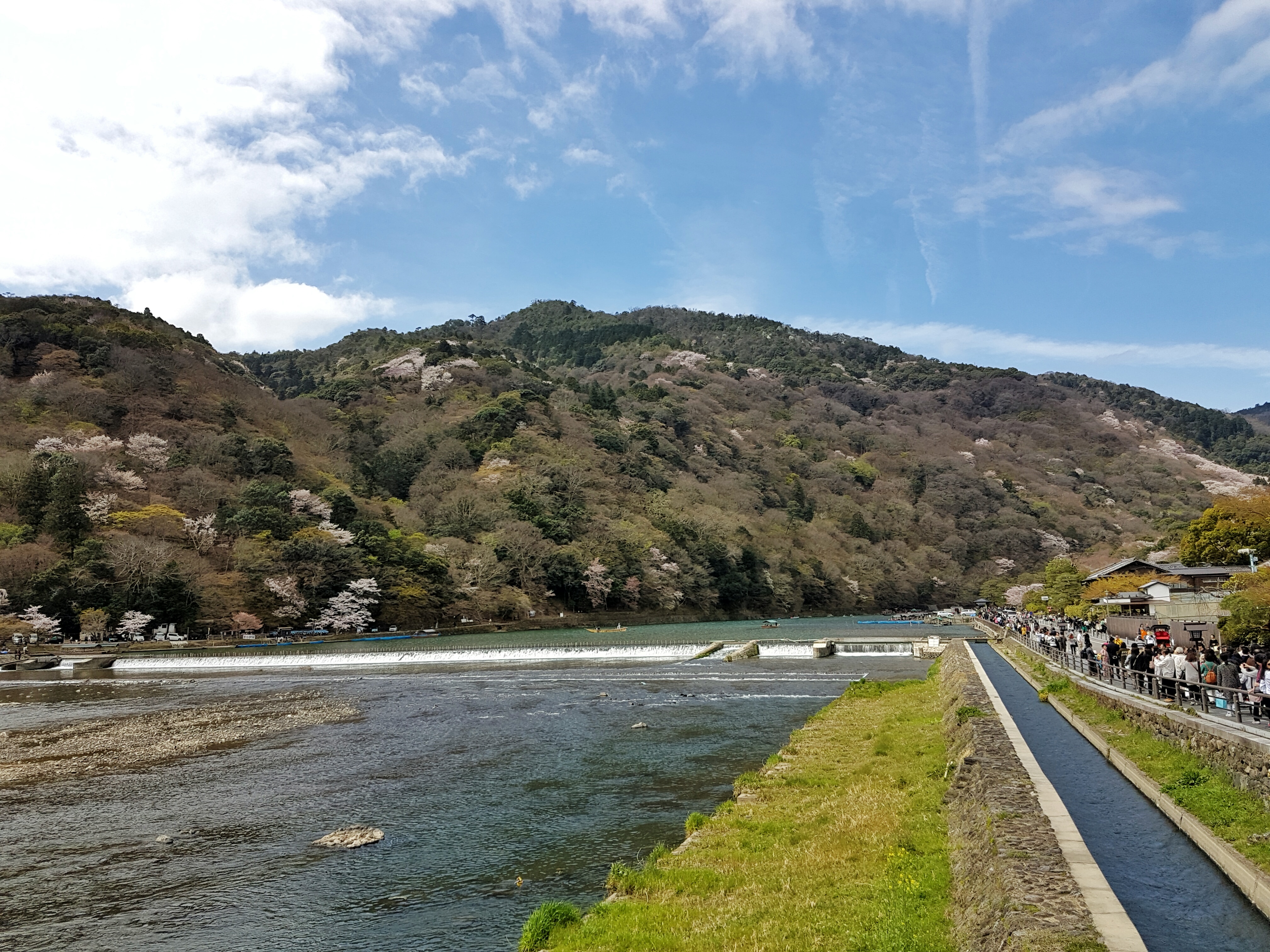 20160402_113612-01[1]