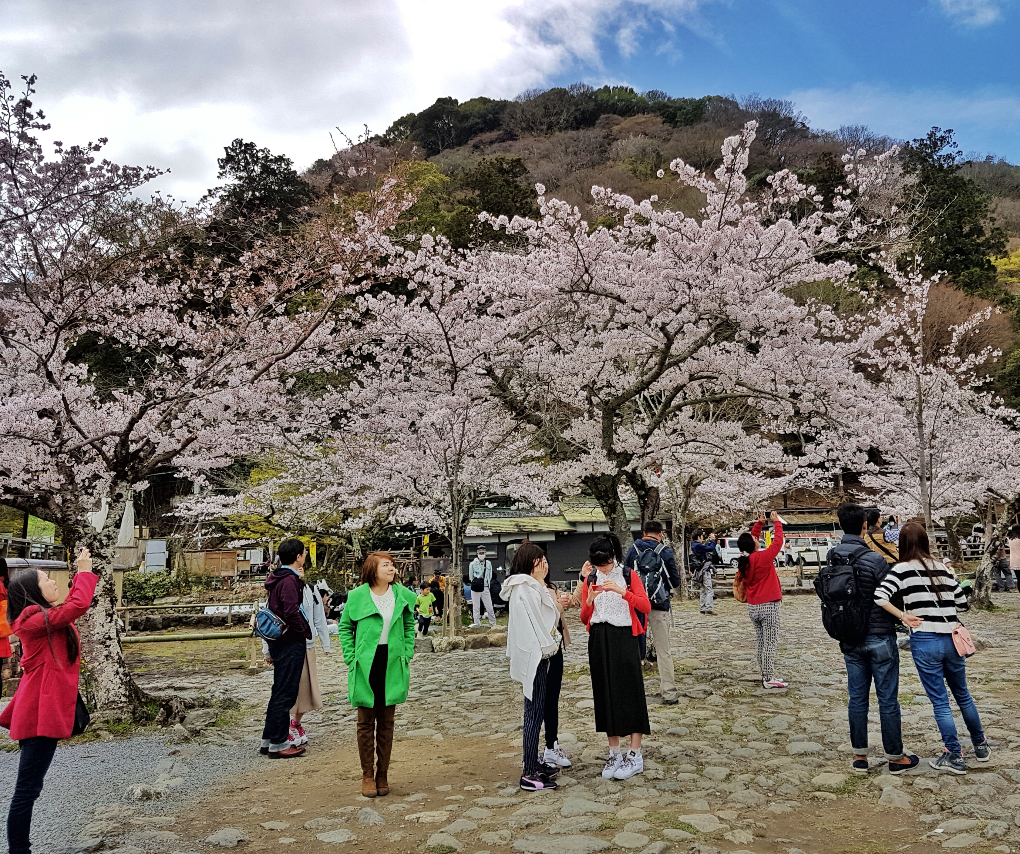 20160402_114441-01[1]