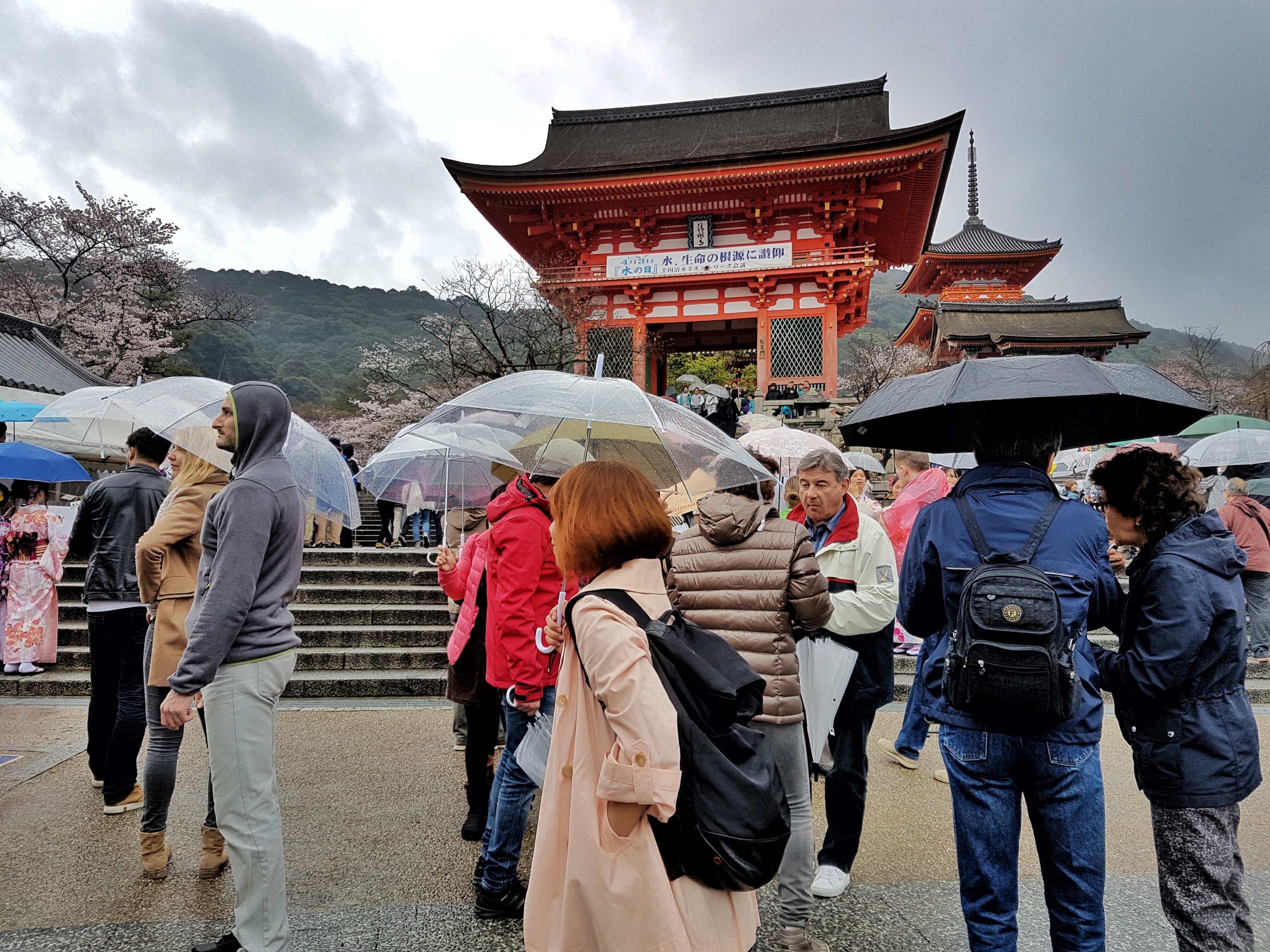 20160401_113310-01[1]