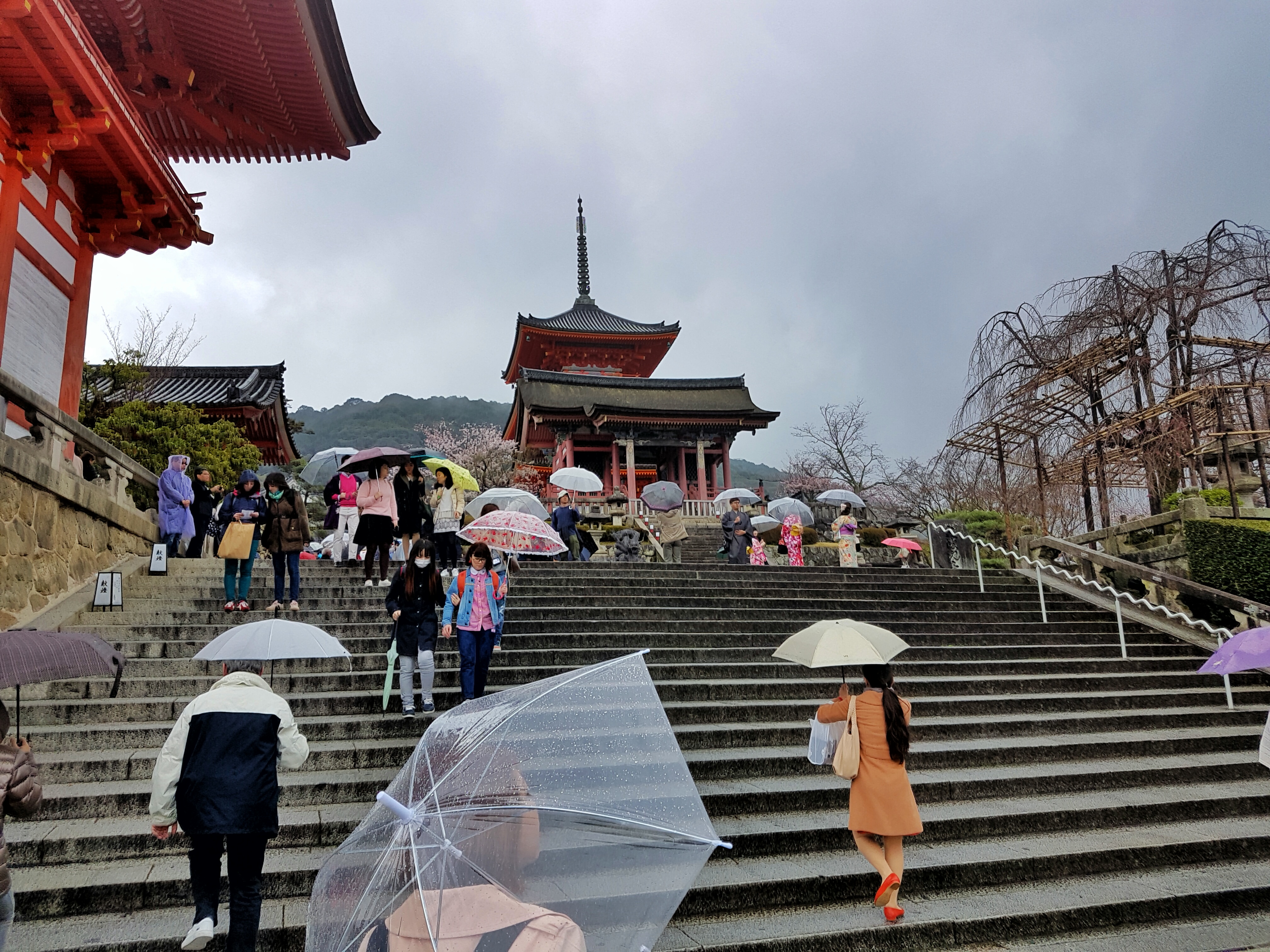 20160401_113441-01[1]