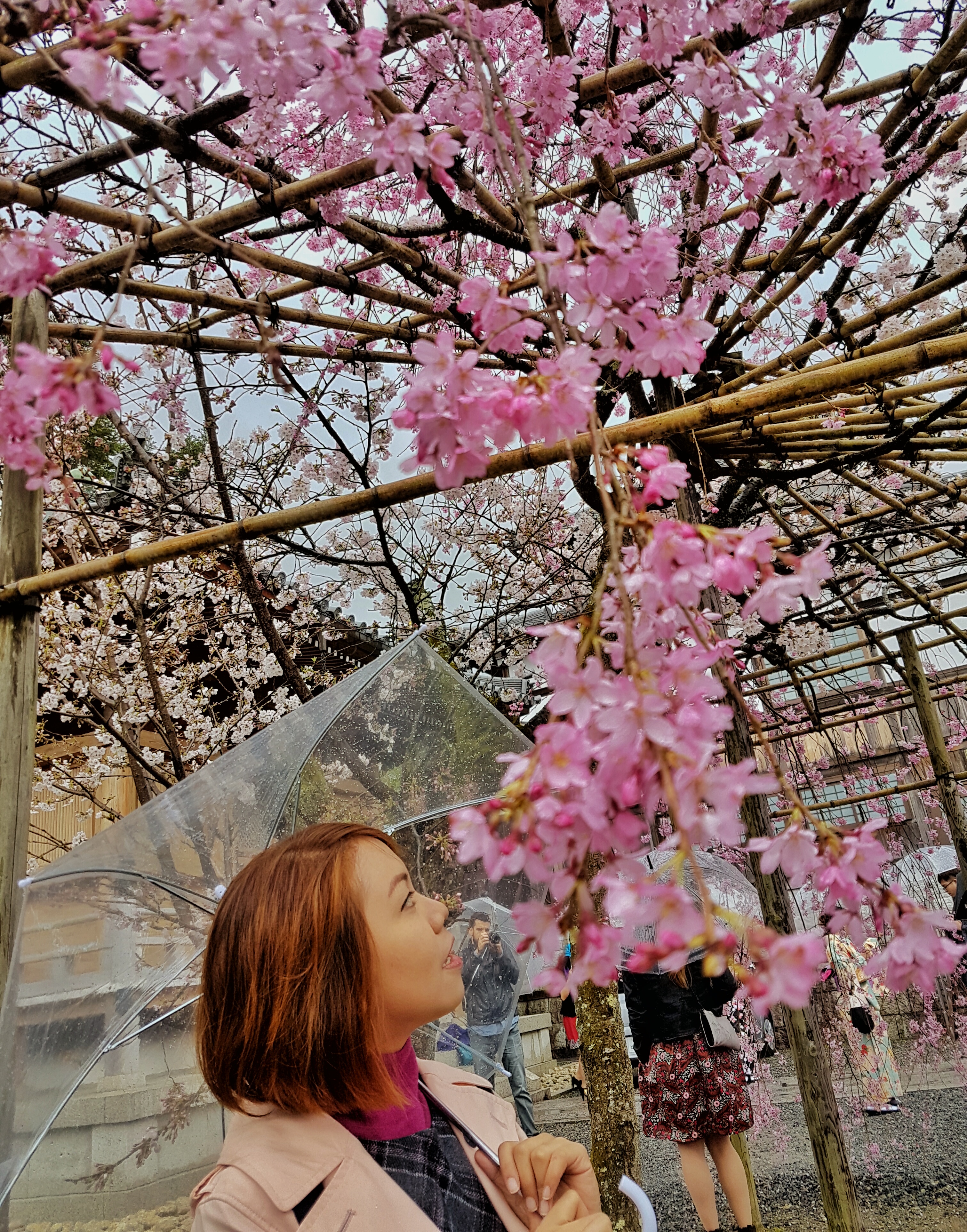 20160401_115041-01[1]