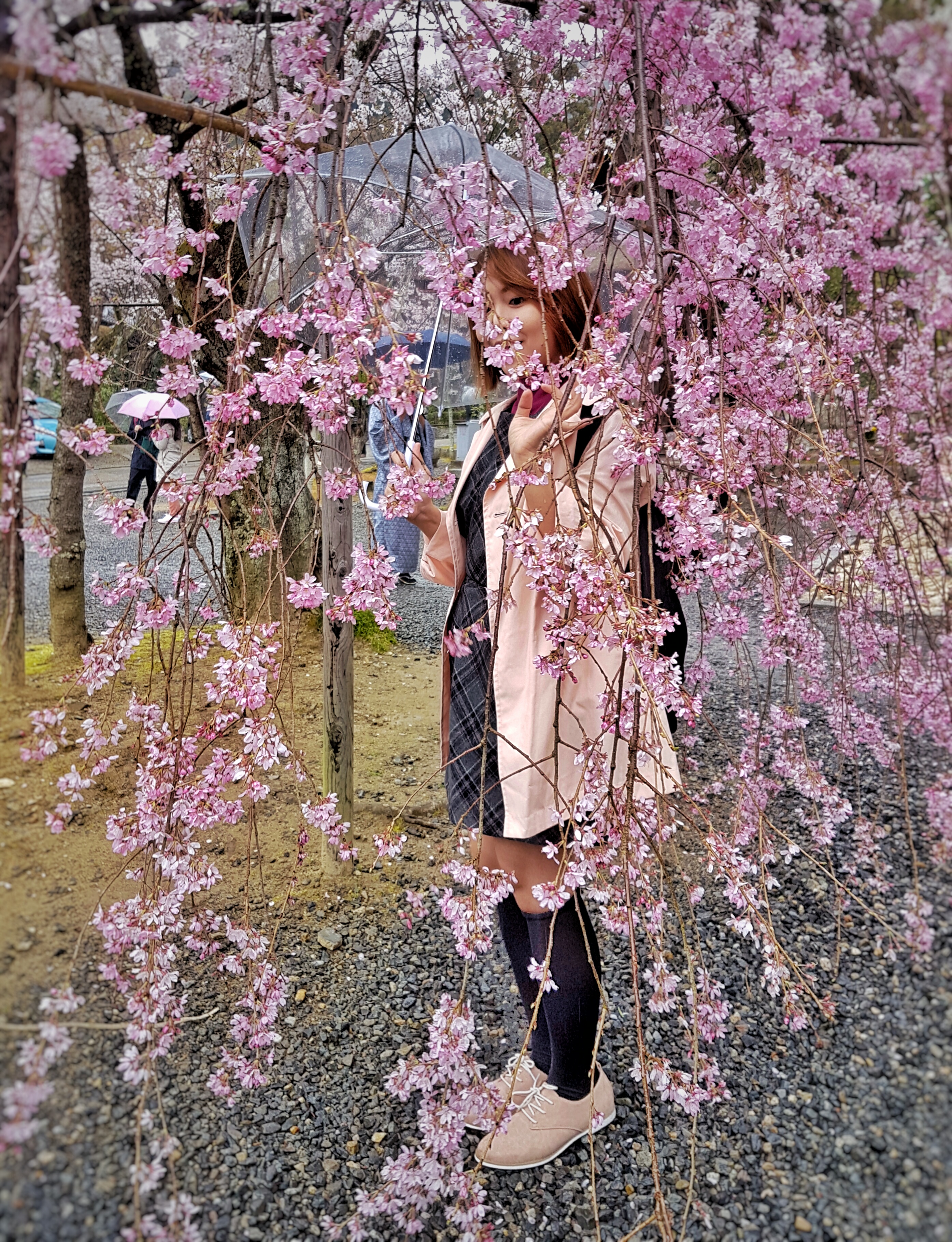20160401_115222-01[1]