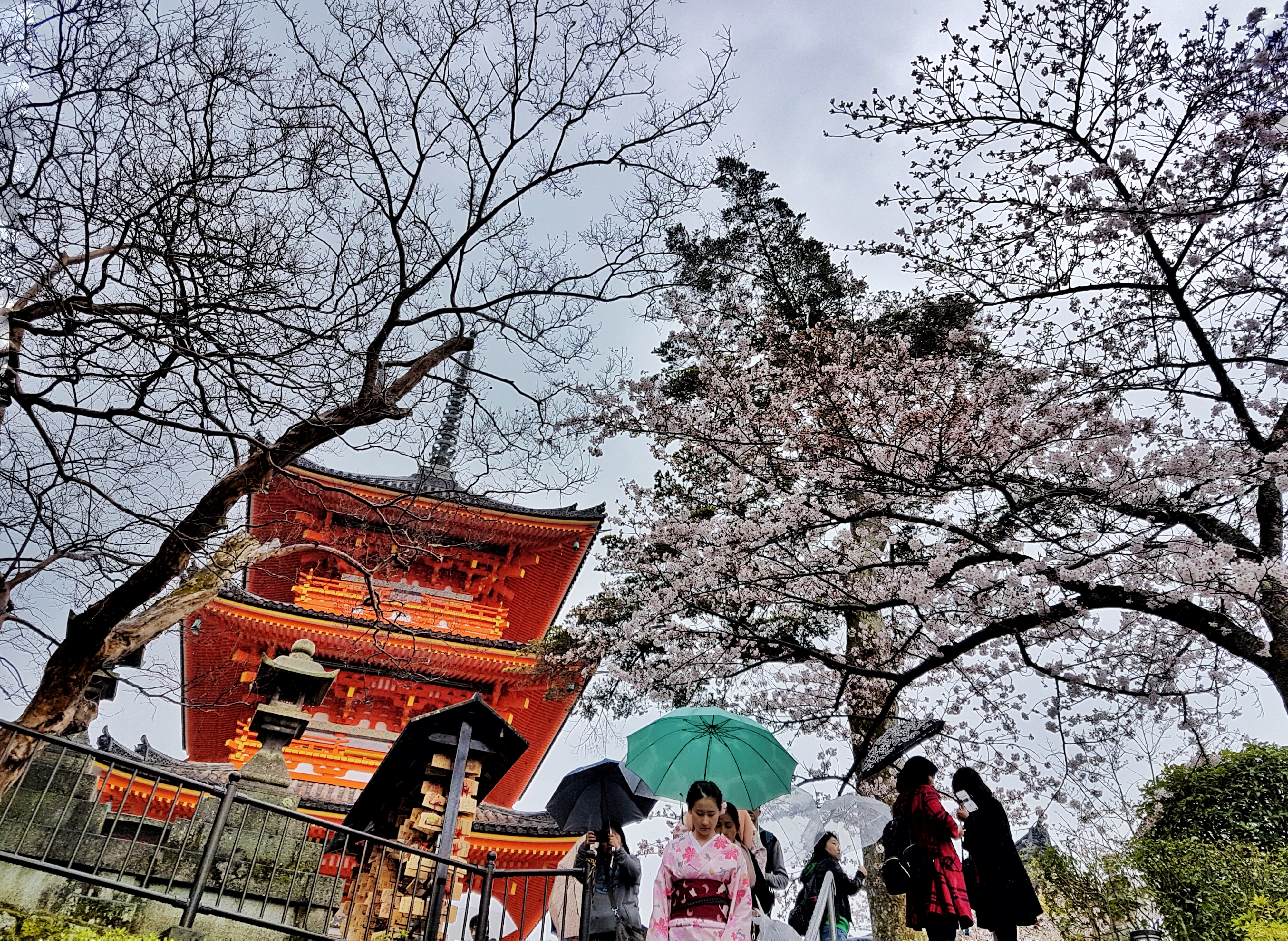 20160401_115321-01[1]