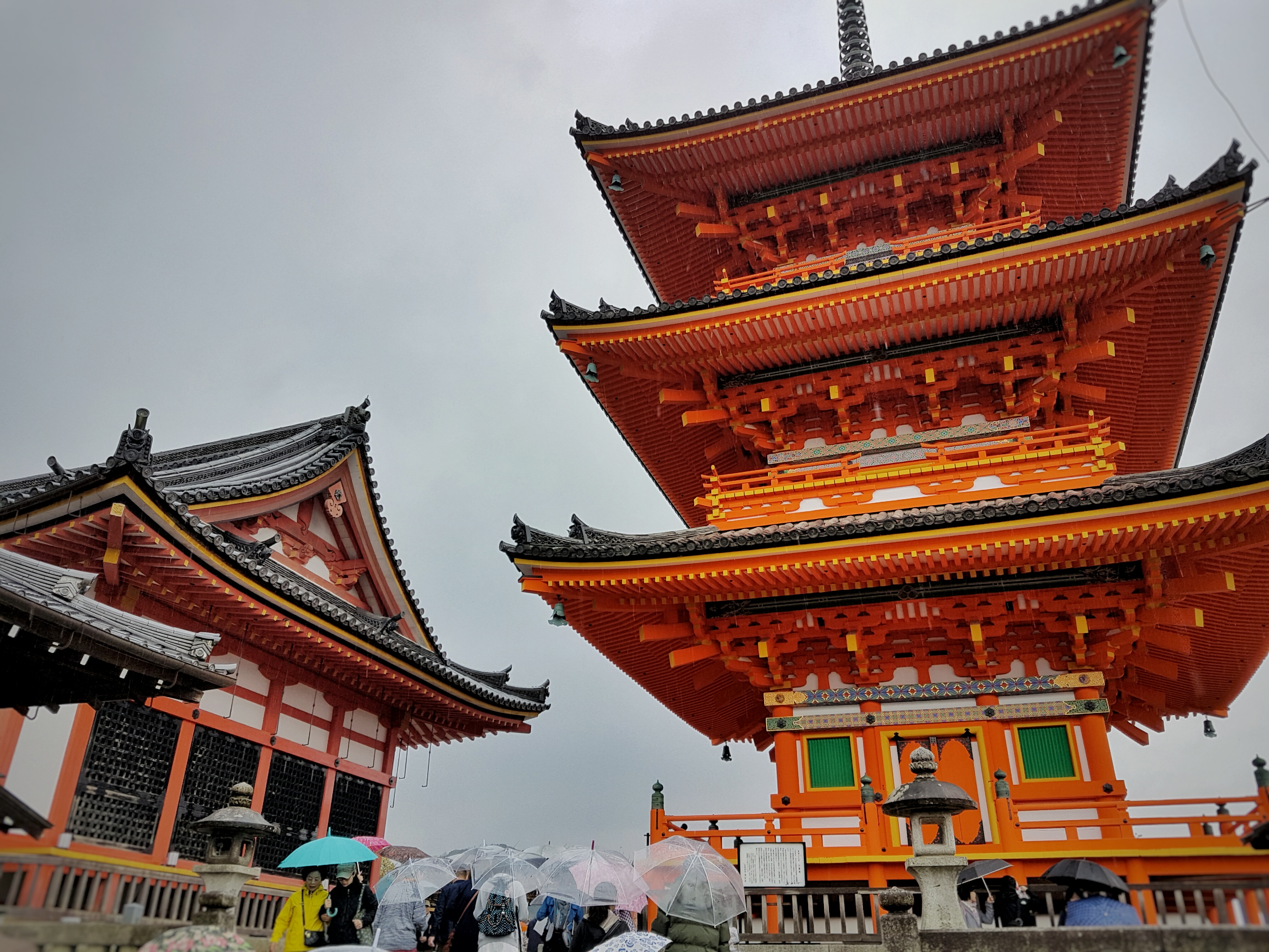 20160401_115446-01[1]
