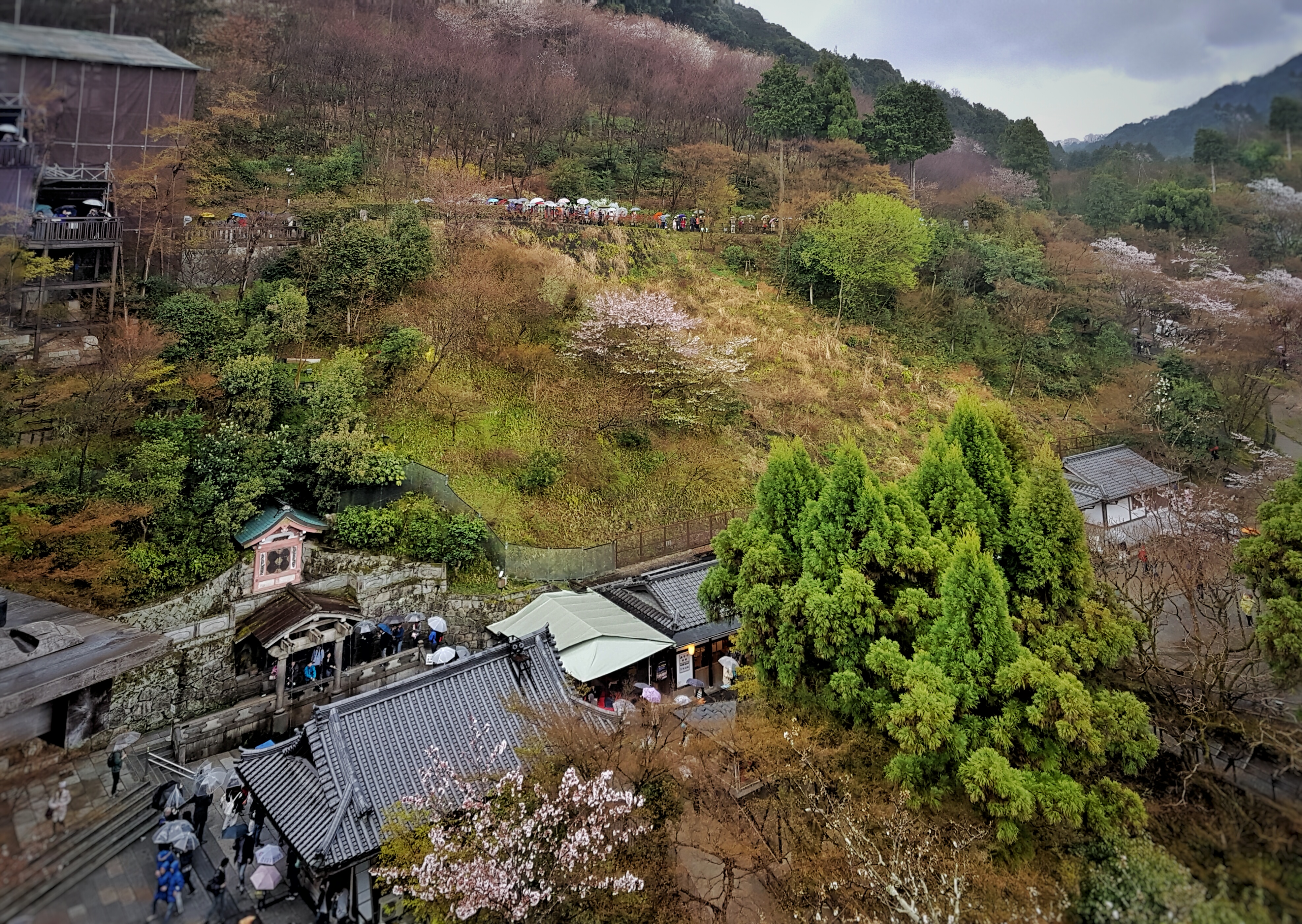 20160401_120831-01[1]