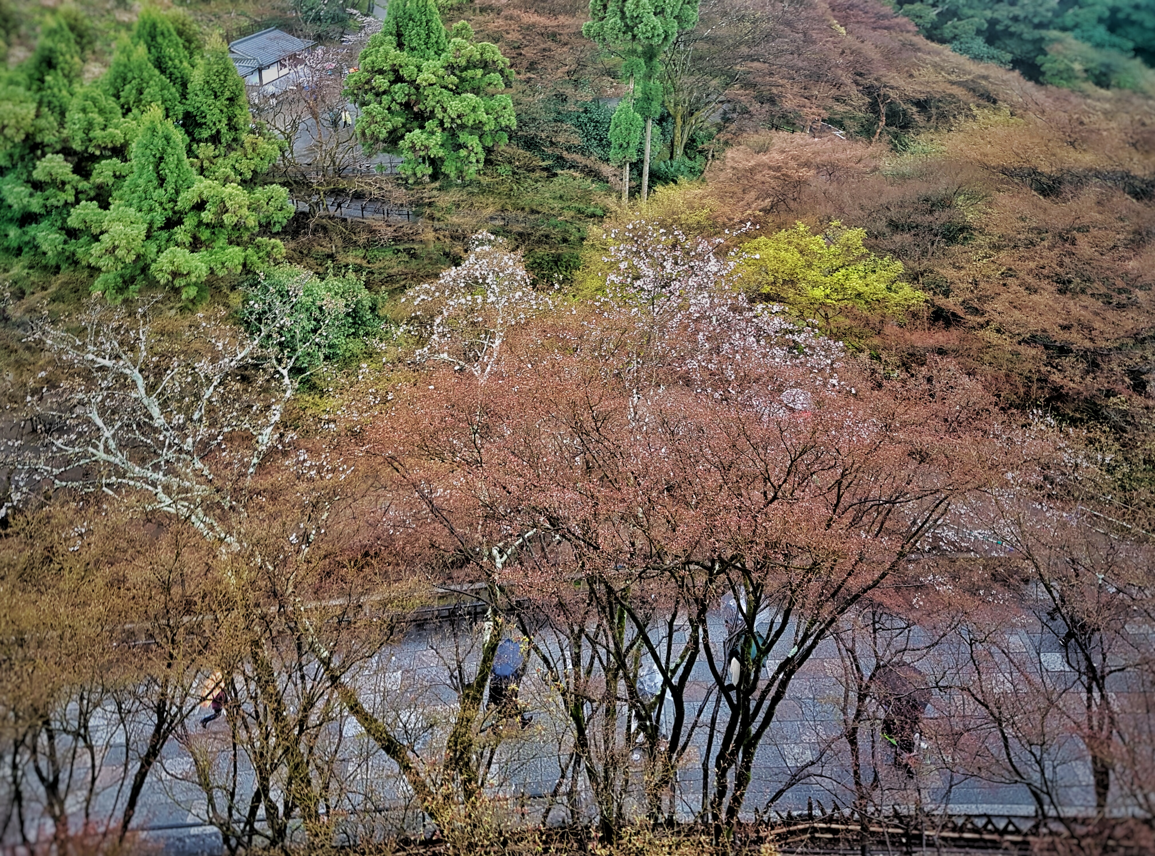 20160401_120853-01[1]