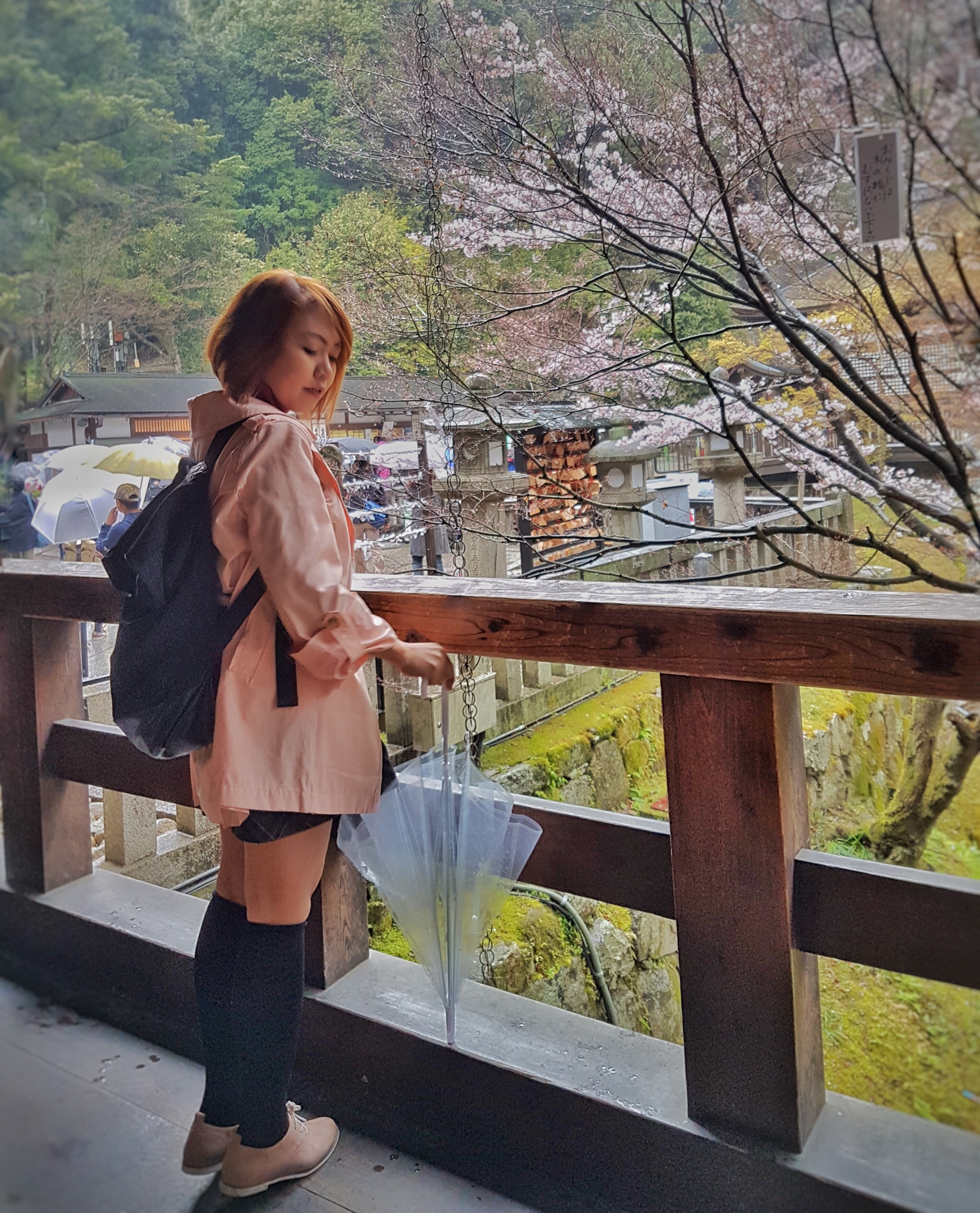 20160401_121222-01[1]