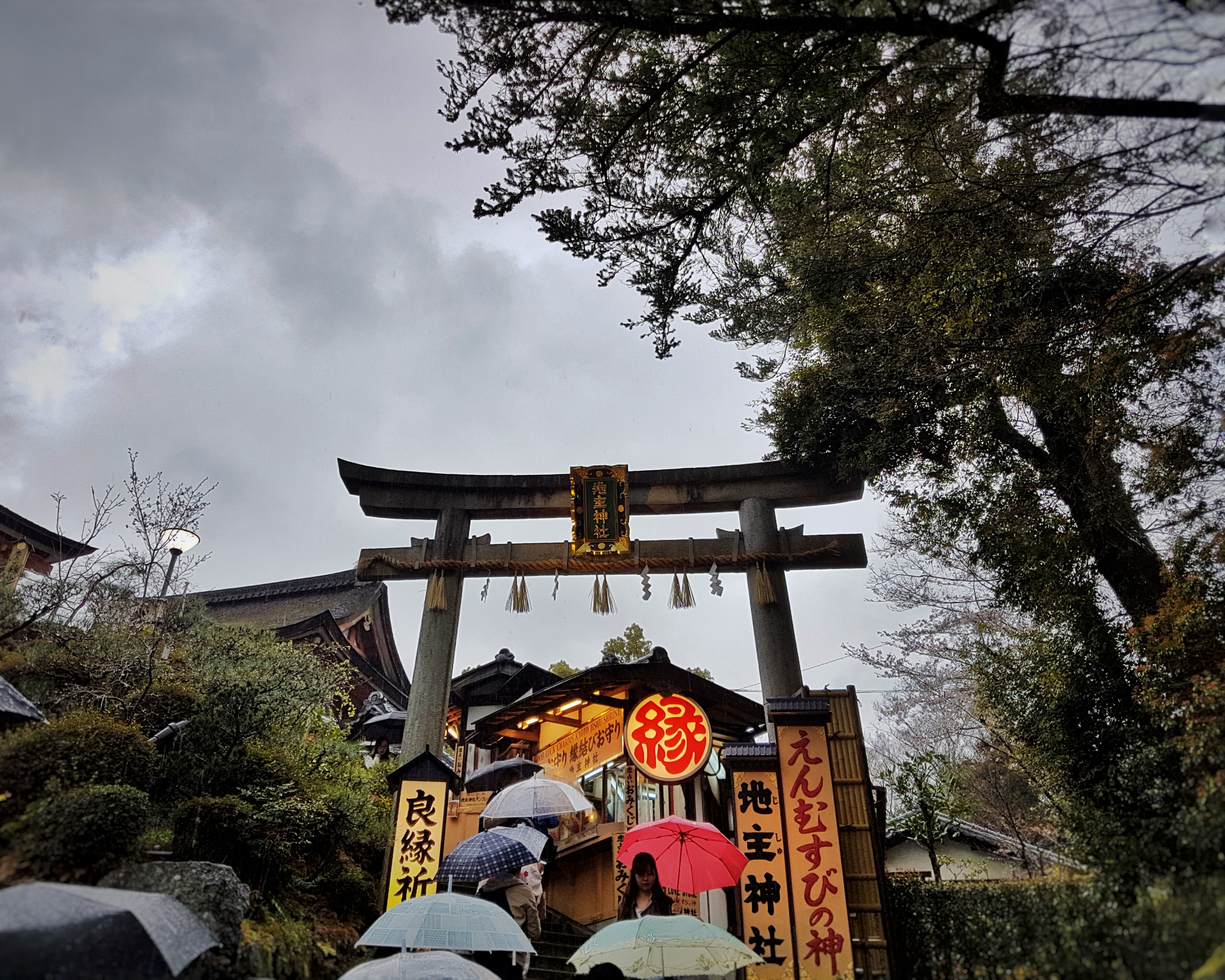 20160401_121340-01[1]