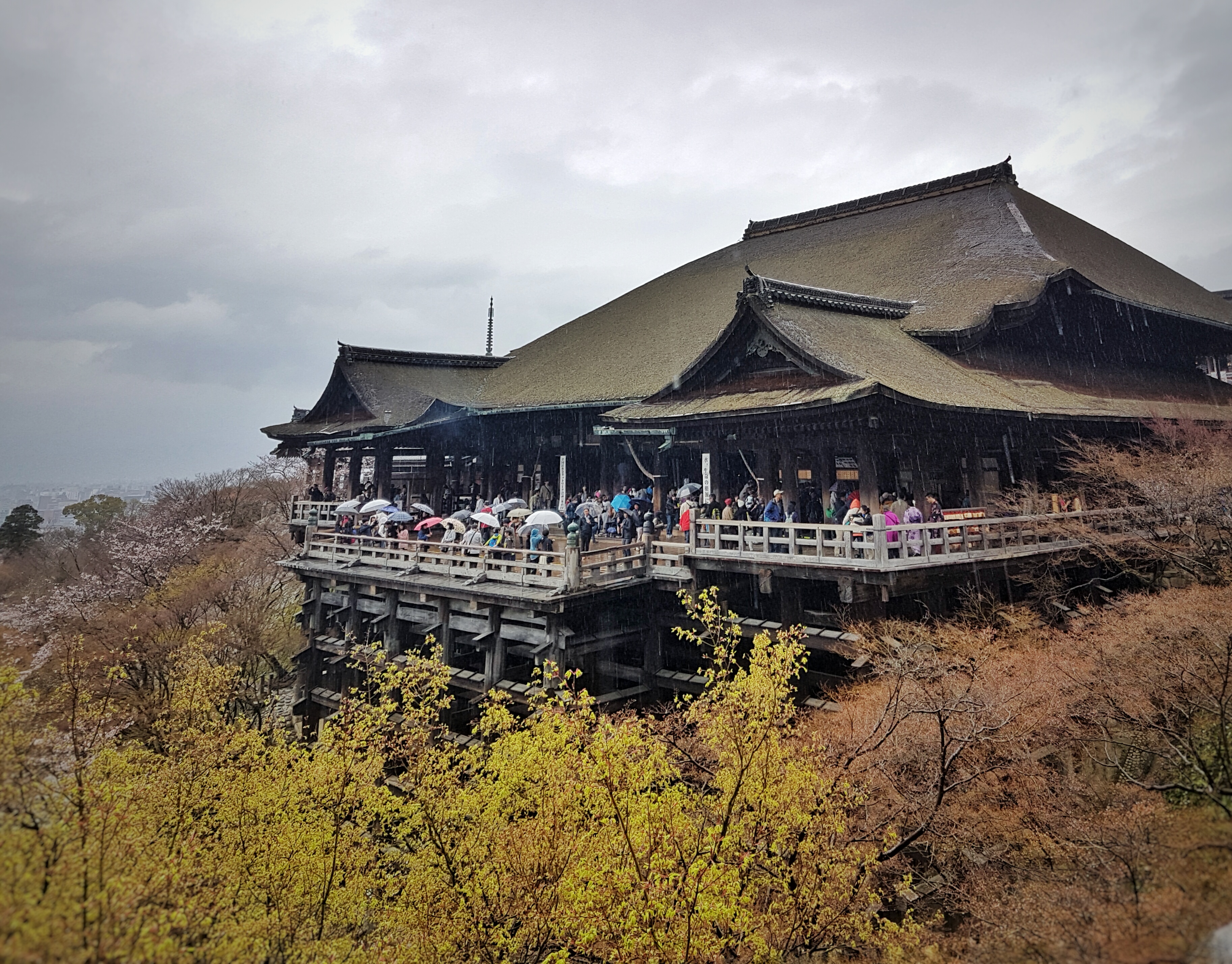 20160401_122811-01[1]