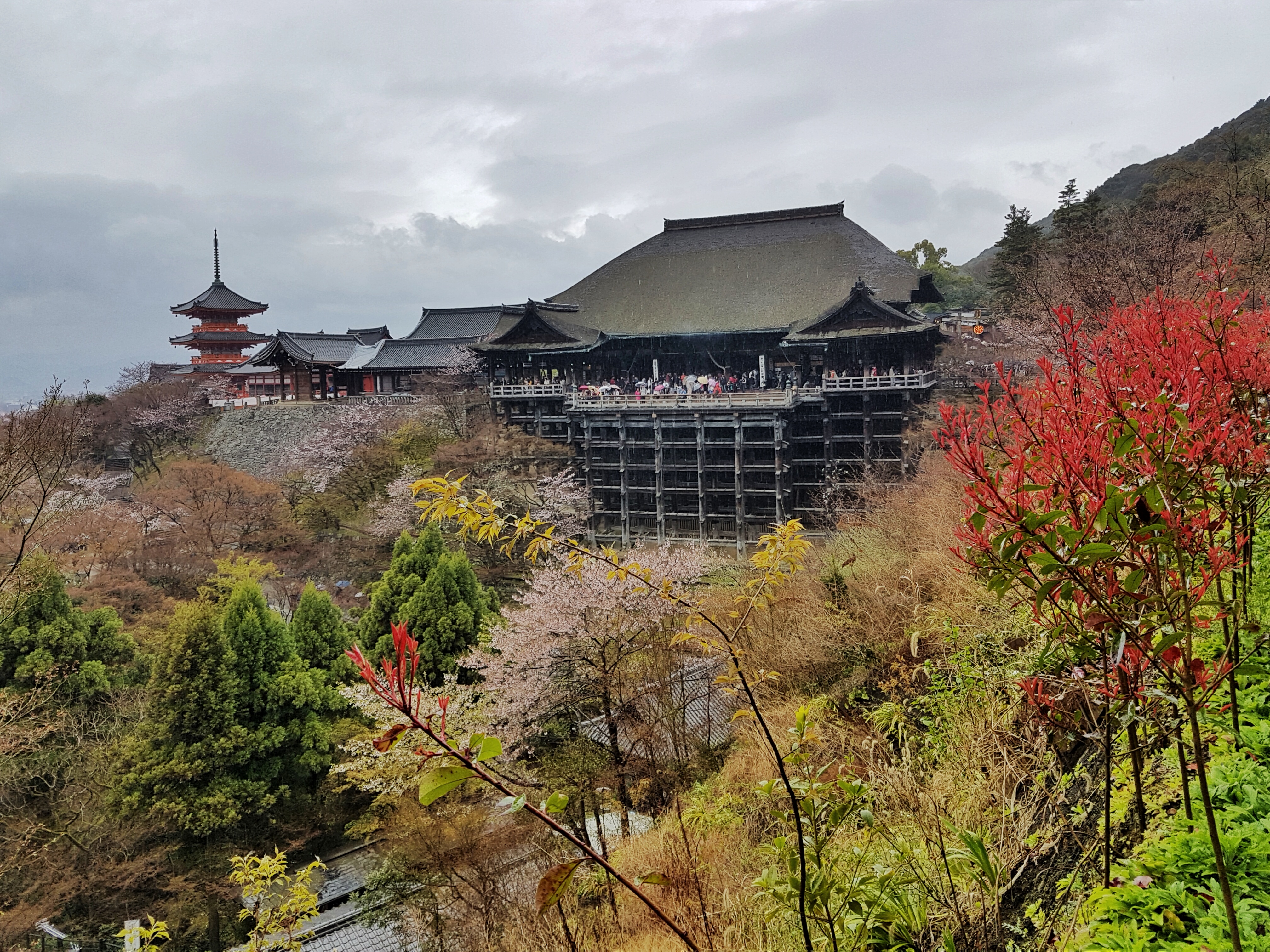 20160401_123253-01[1]
