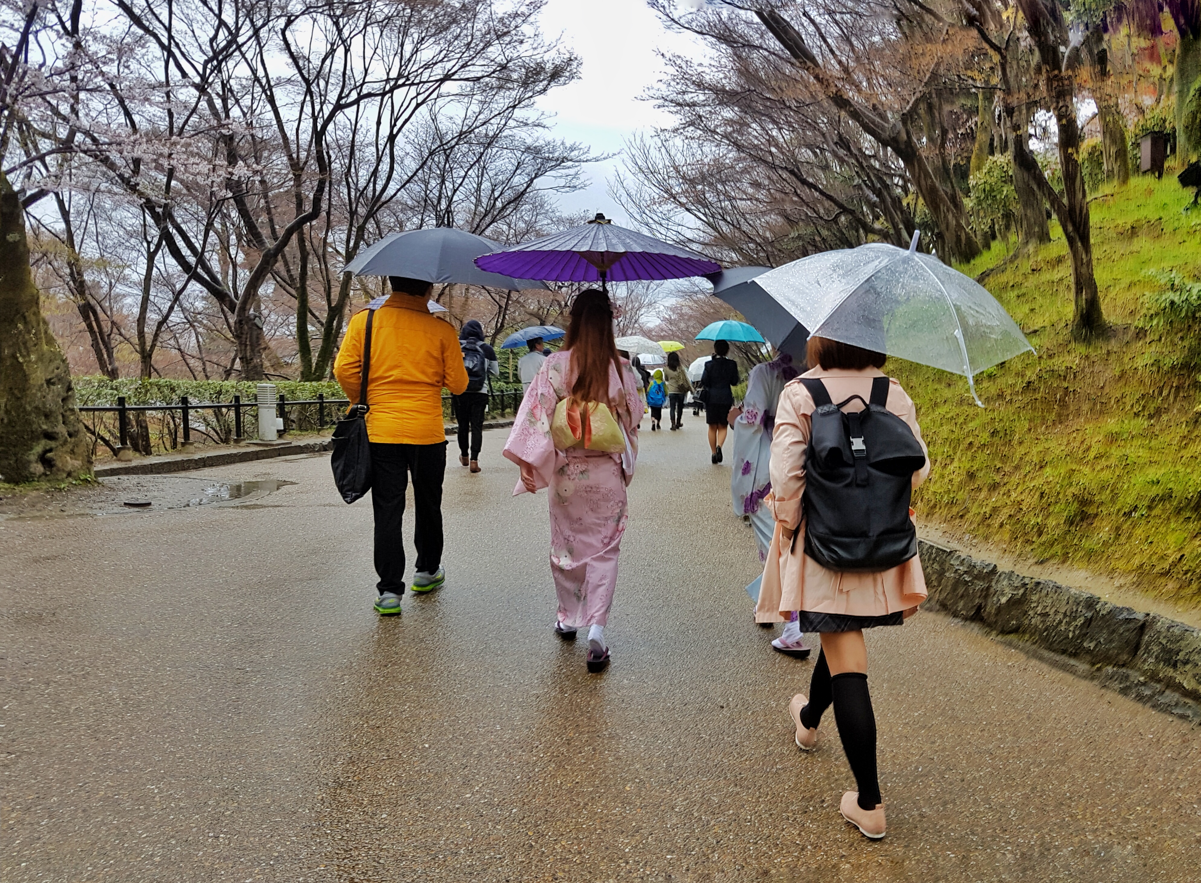 20160401_125316-01[1]