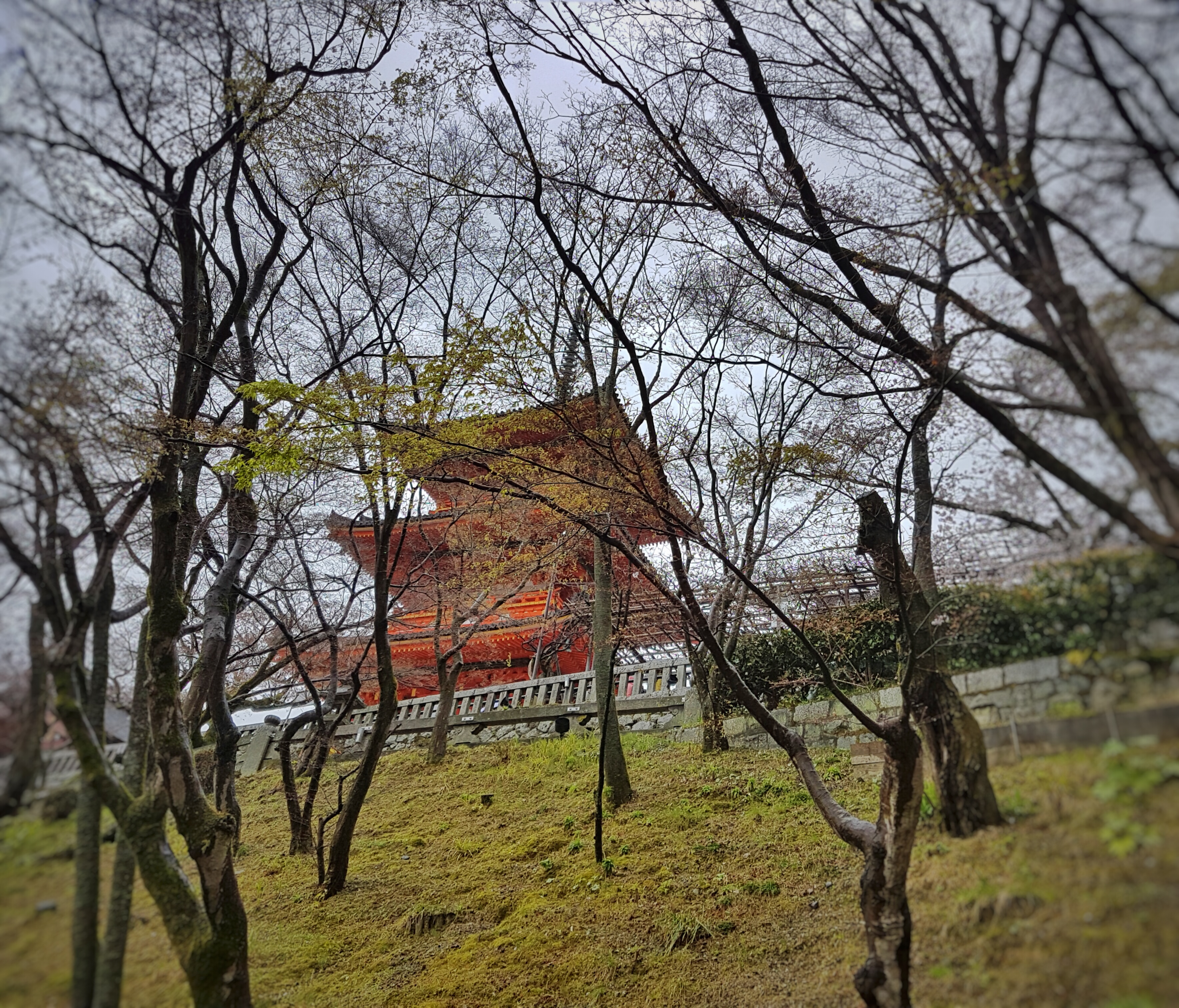 20160401_125402-01[1]