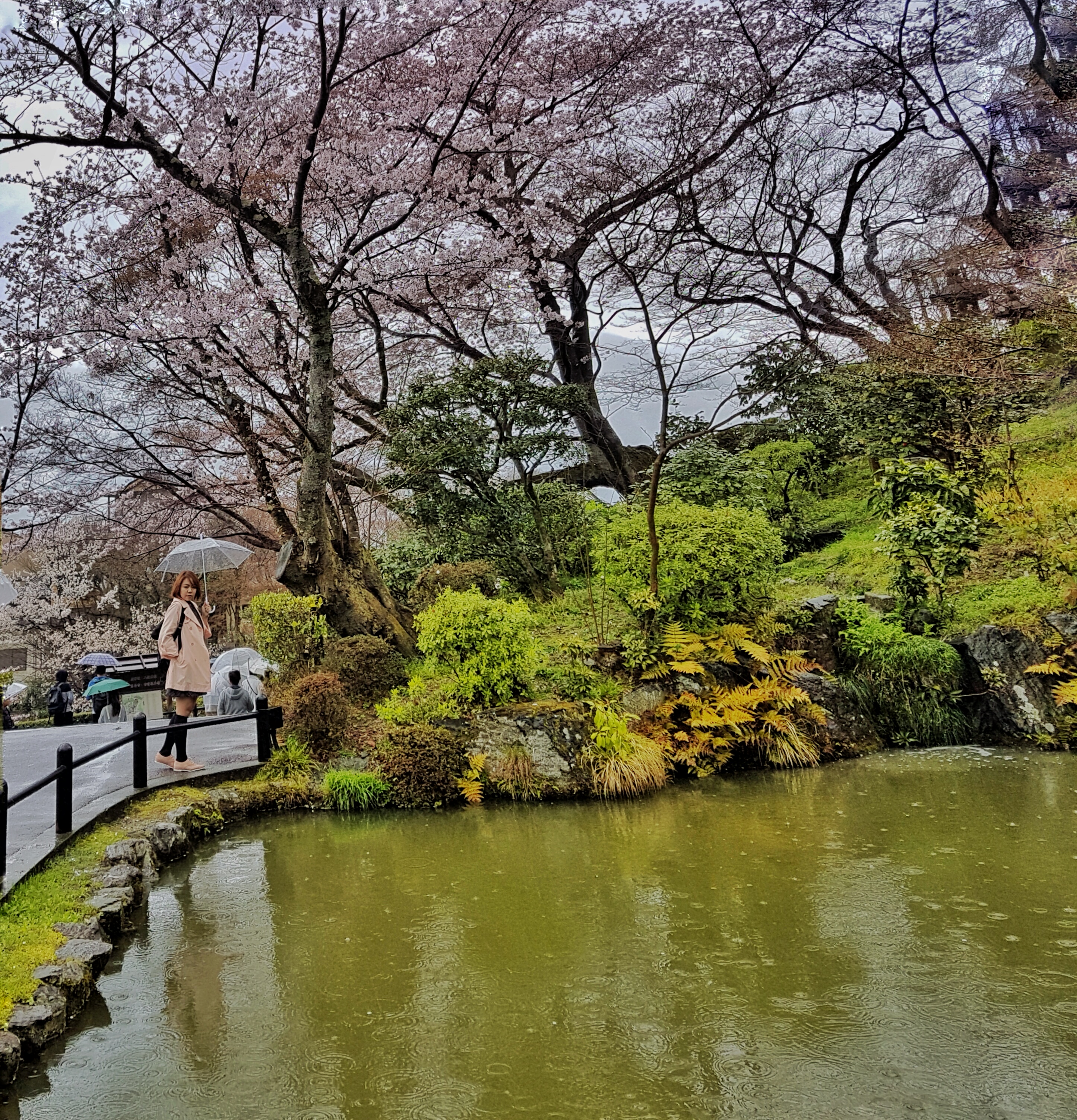 20160401_125538-01[1]