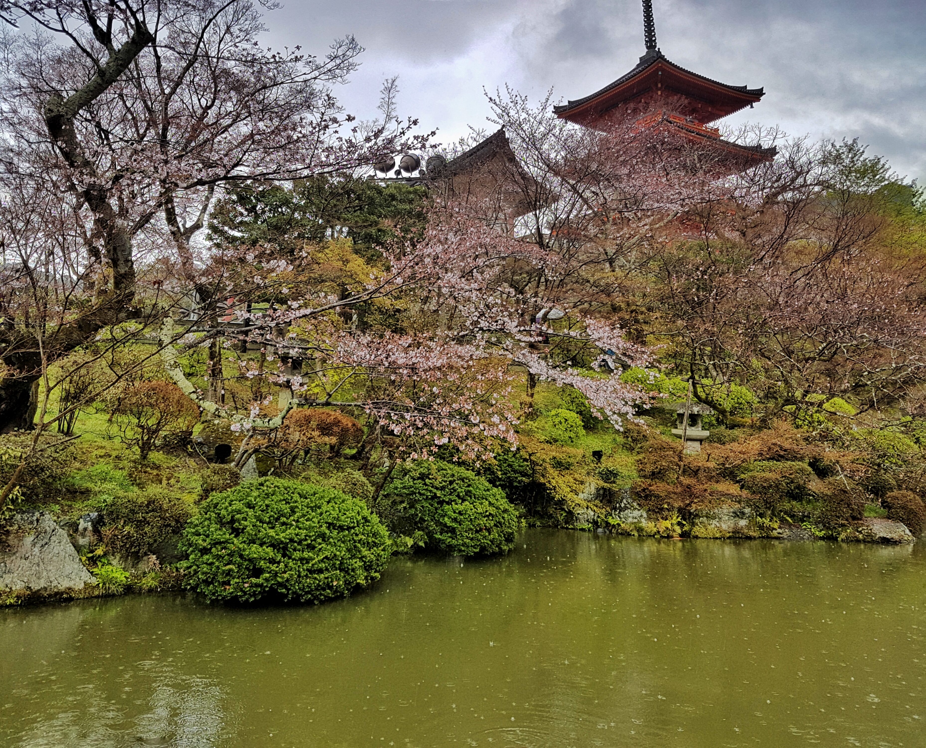 20160401_125542-01[1]