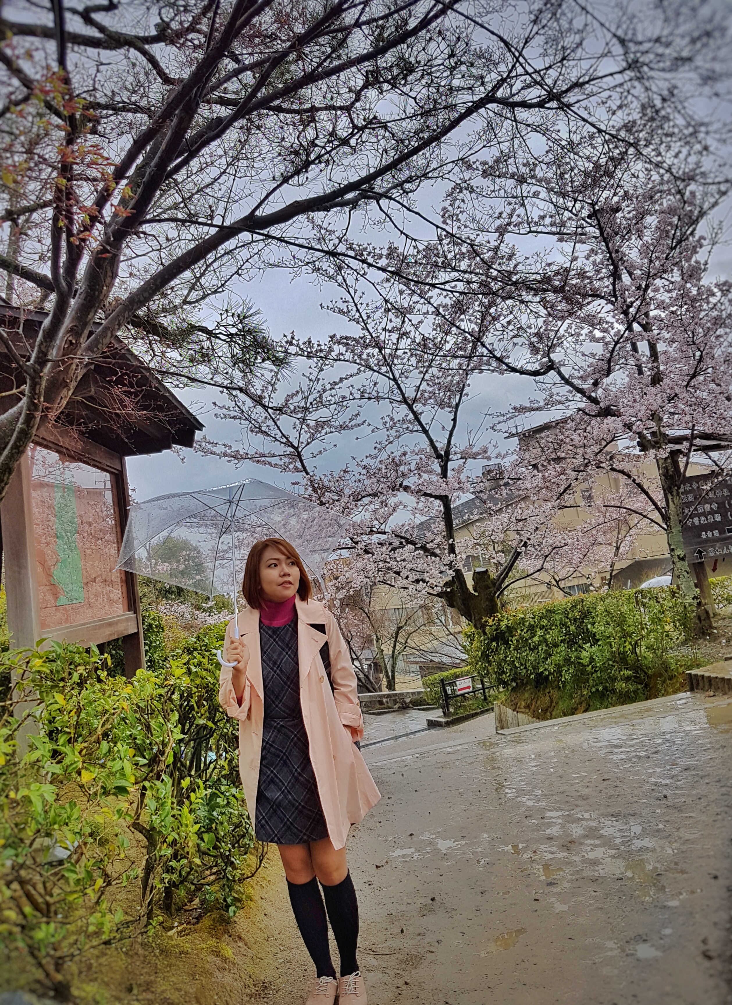 20160401_125638-01[1]