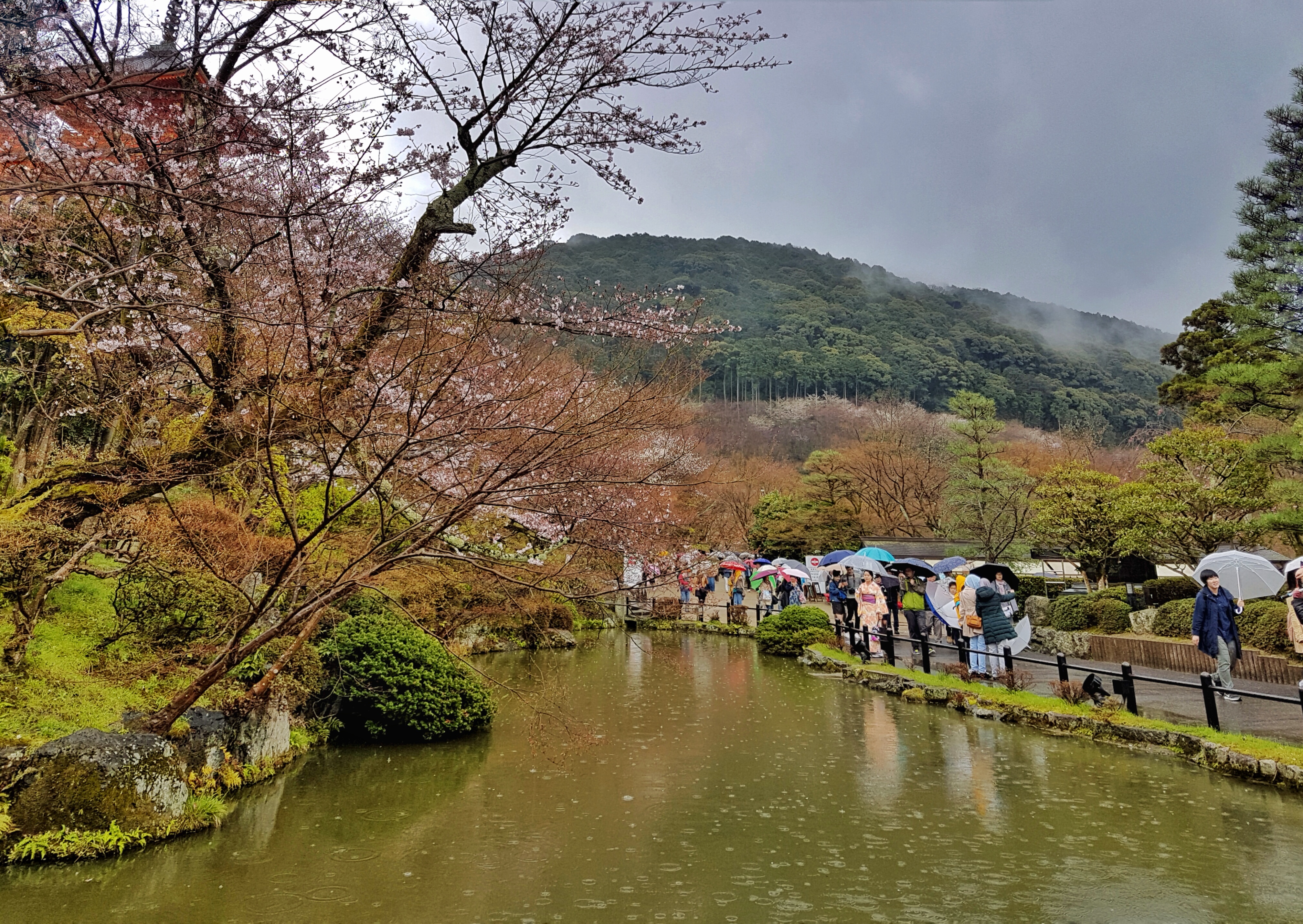20160401_125711-01[1]
