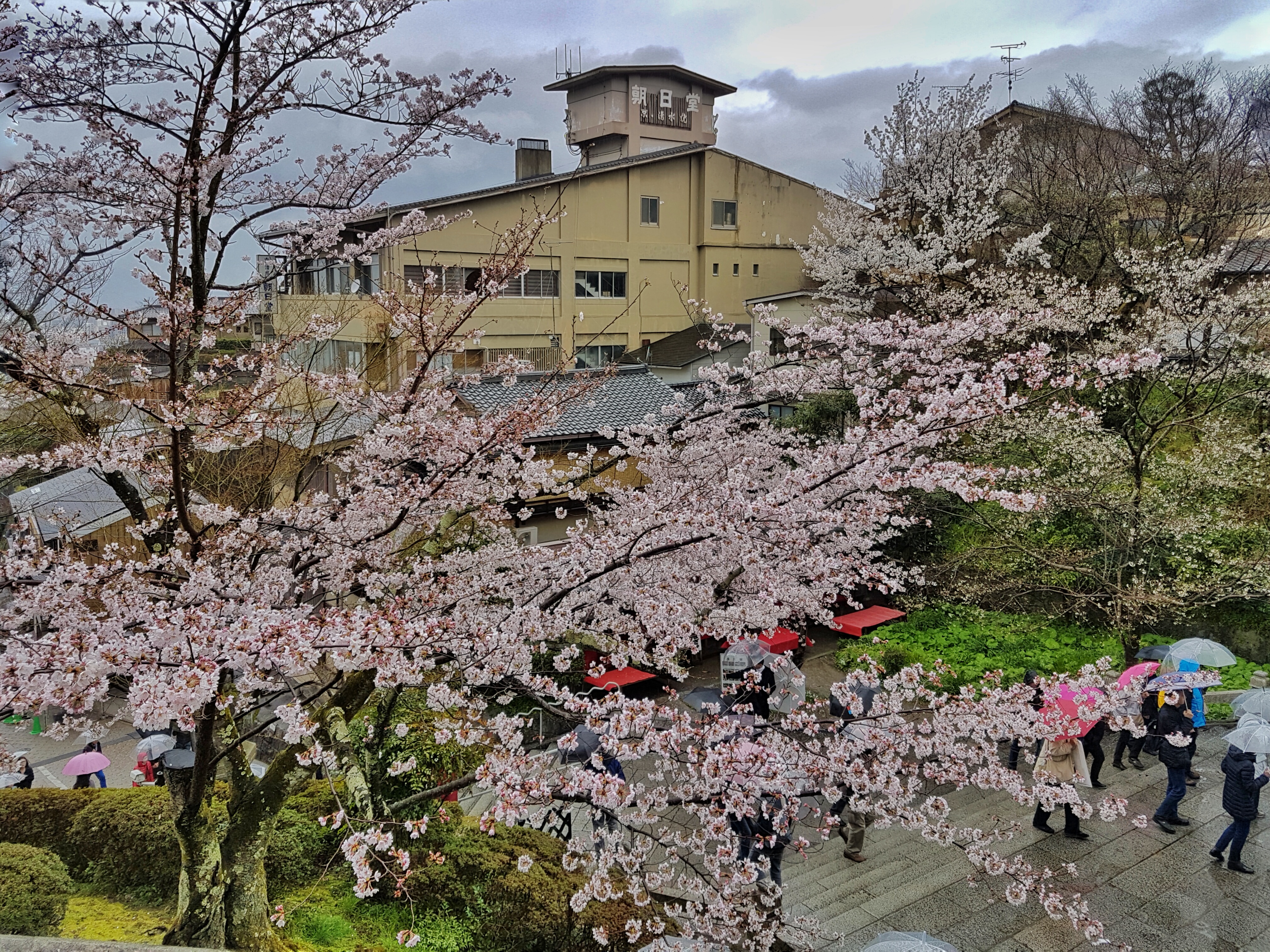20160401_125739-01[1]