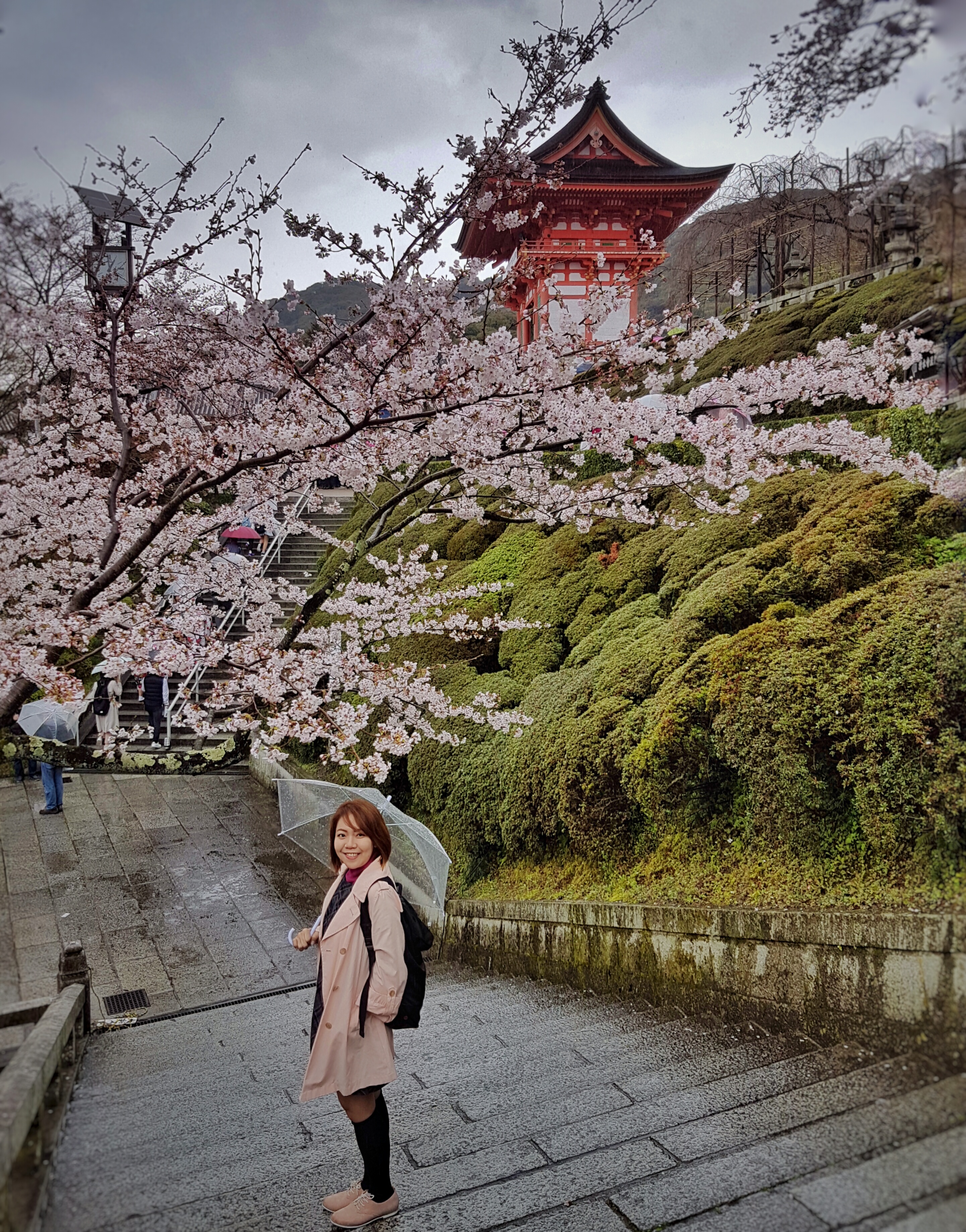 20160401_130032(0)-01[1]