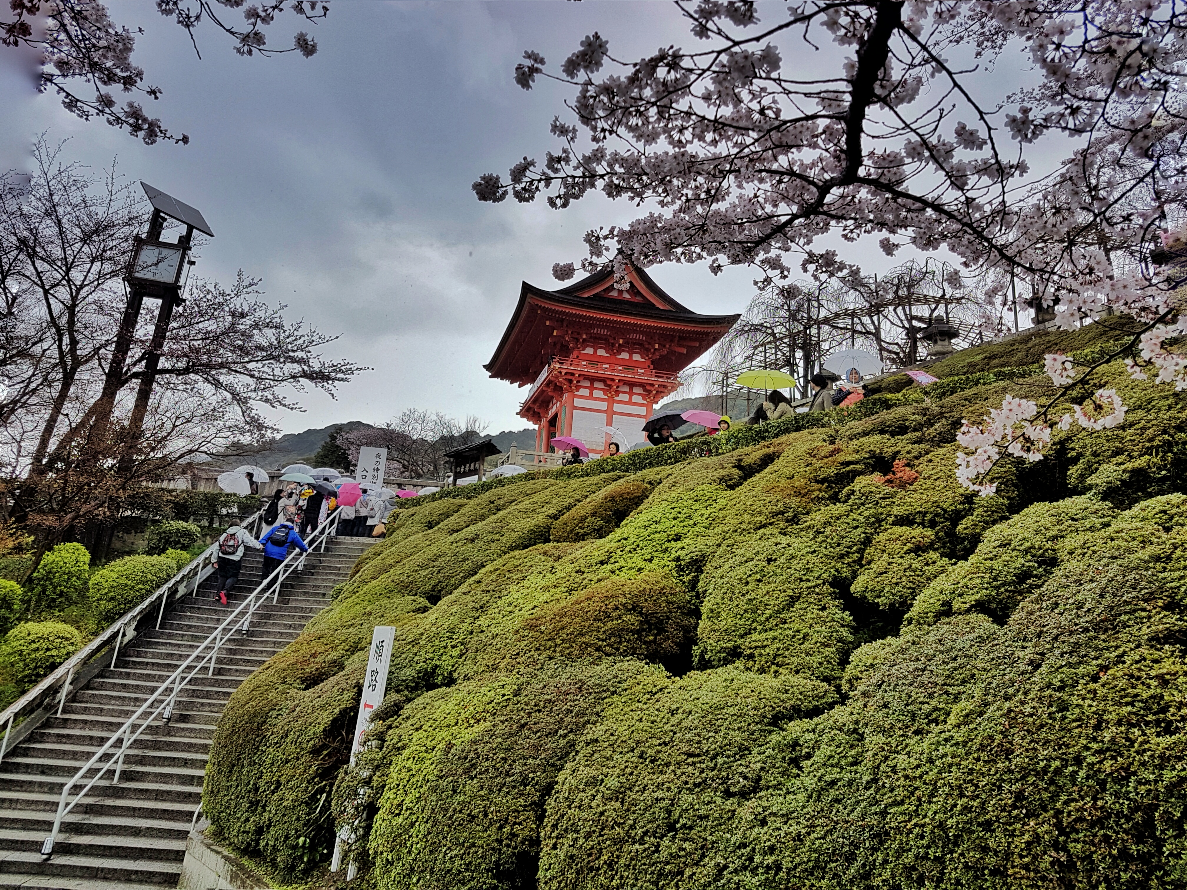20160401_130052-01[1]