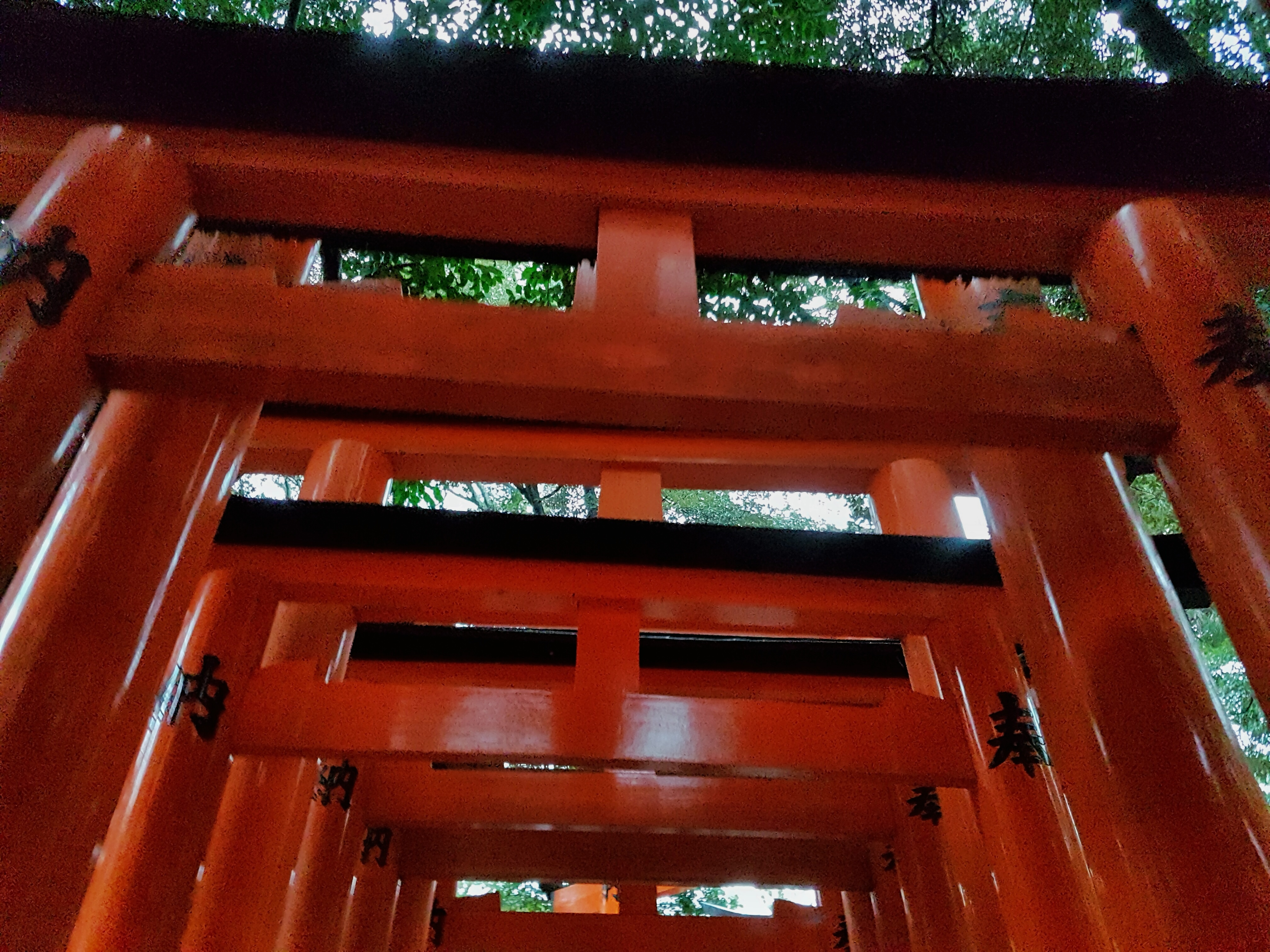 20160401_143926-01[1]
