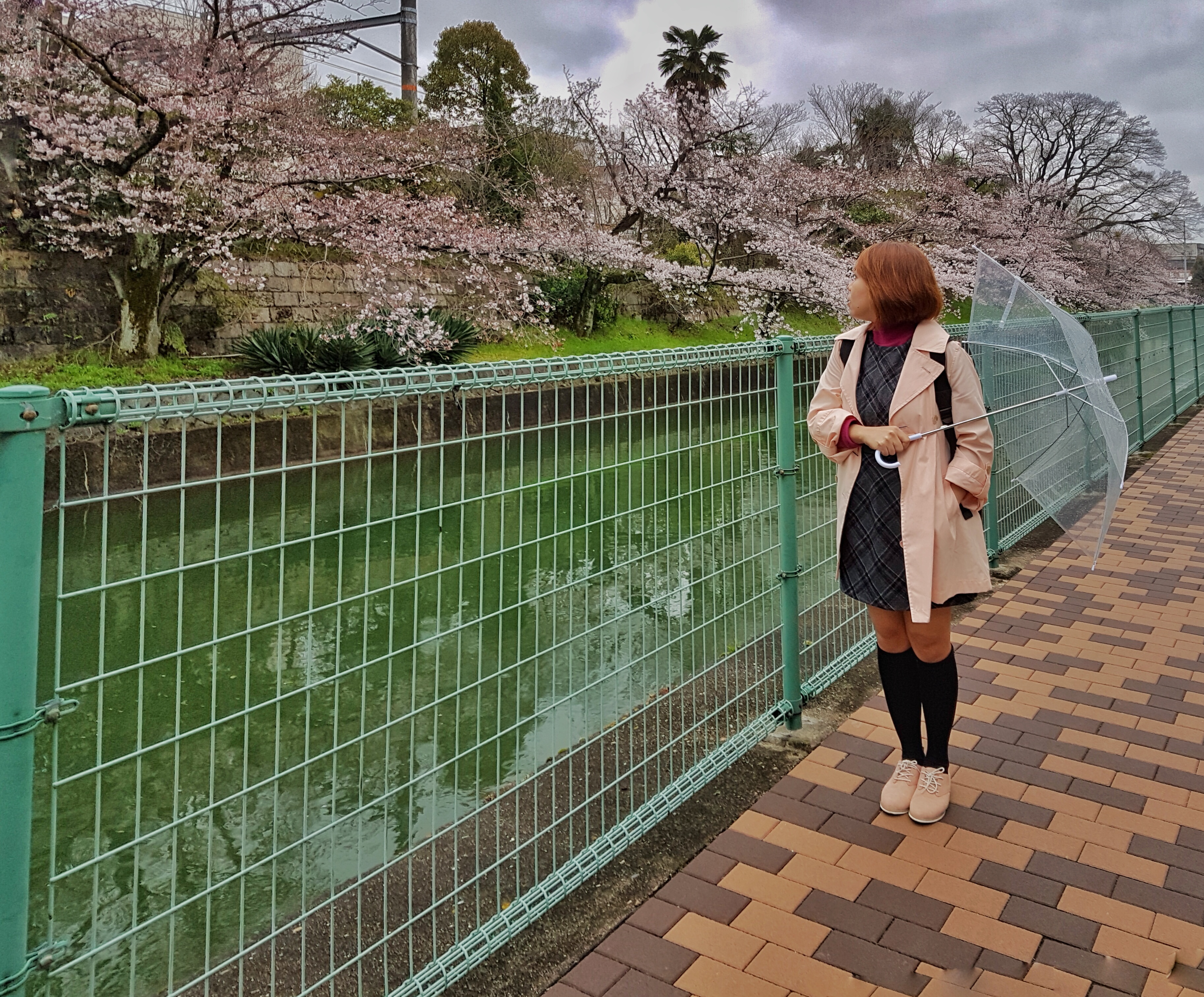 20160401_160453-01[1]